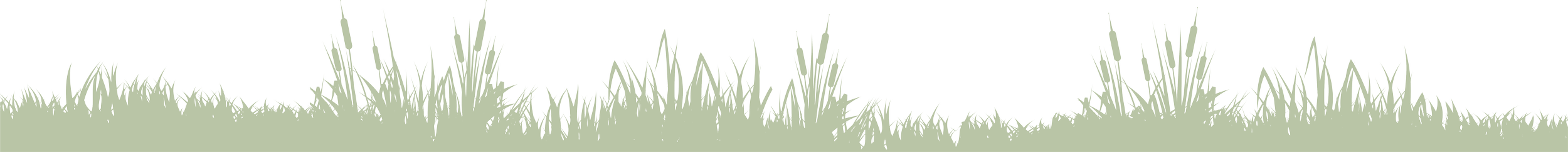 Silhouette of grass with a black background