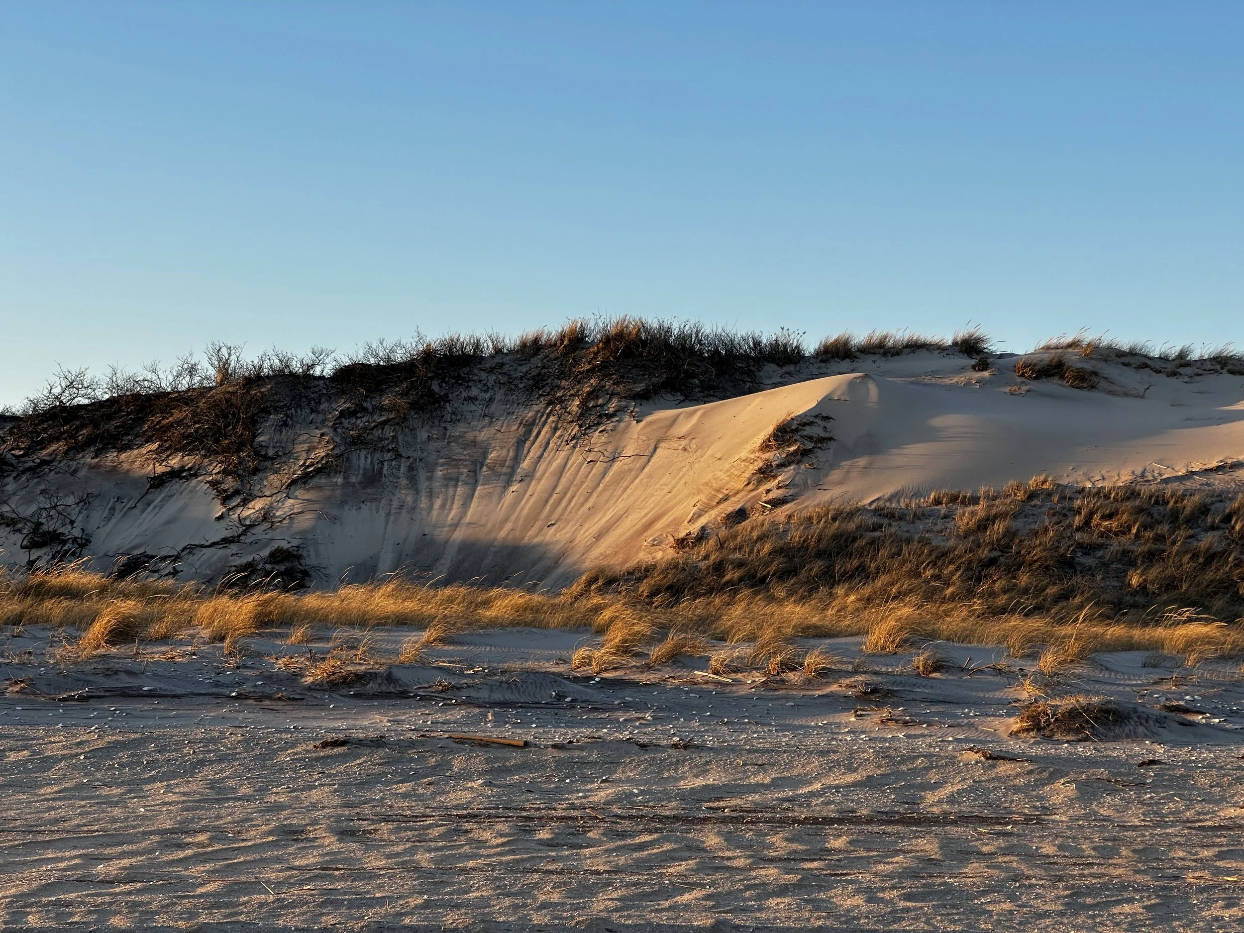 Land Report #1: The Wall-Fire Island Dune‑Front Erosion and Snow Fencing Strategies