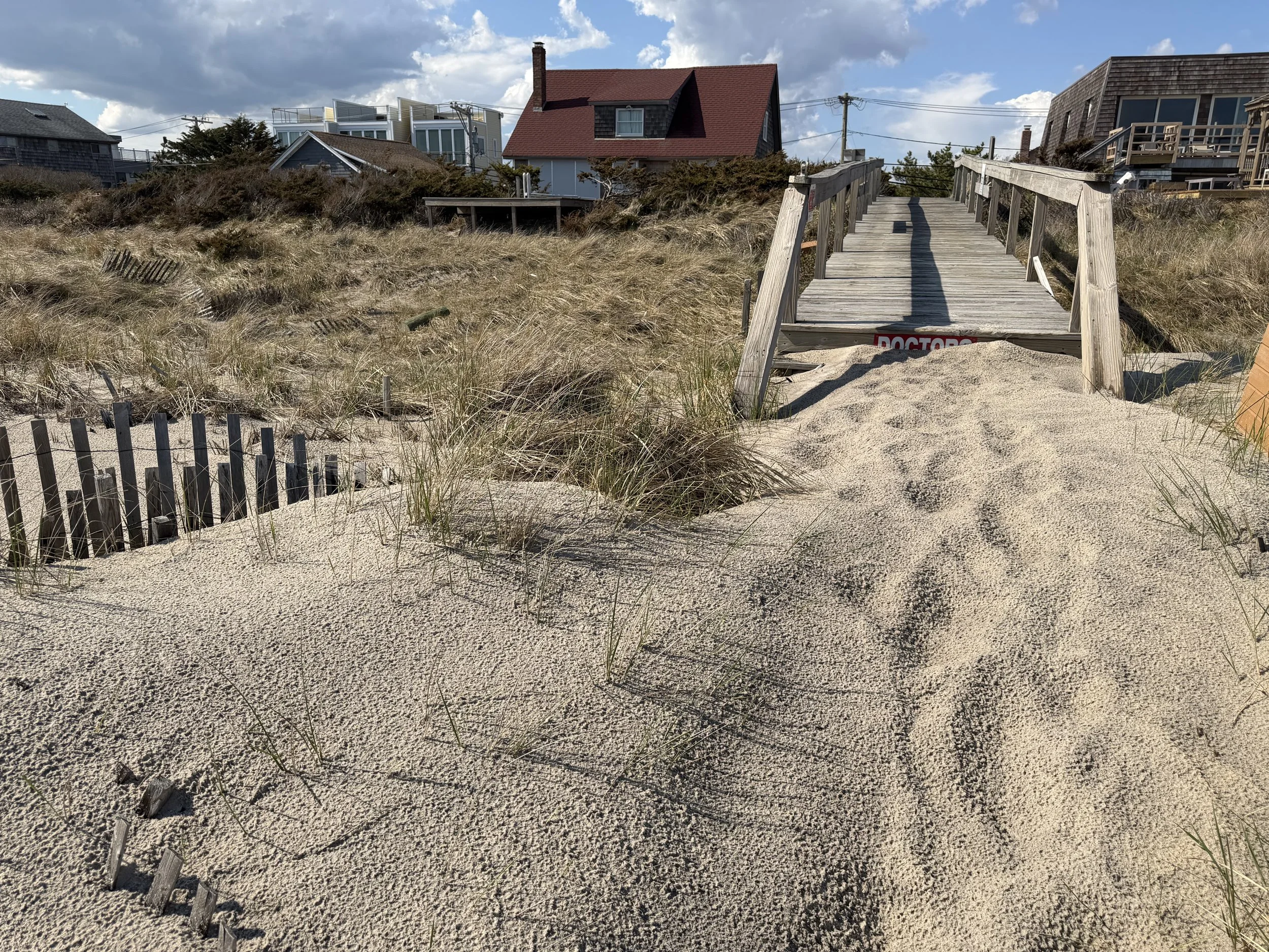 Land Report #3: Winter Sand Gain, The Dune Toe, and When the Walk Disappears