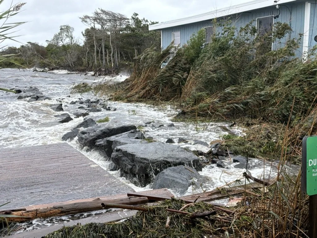 Land Report #7: Low Ground and Storm Flooding in Cherry Grove