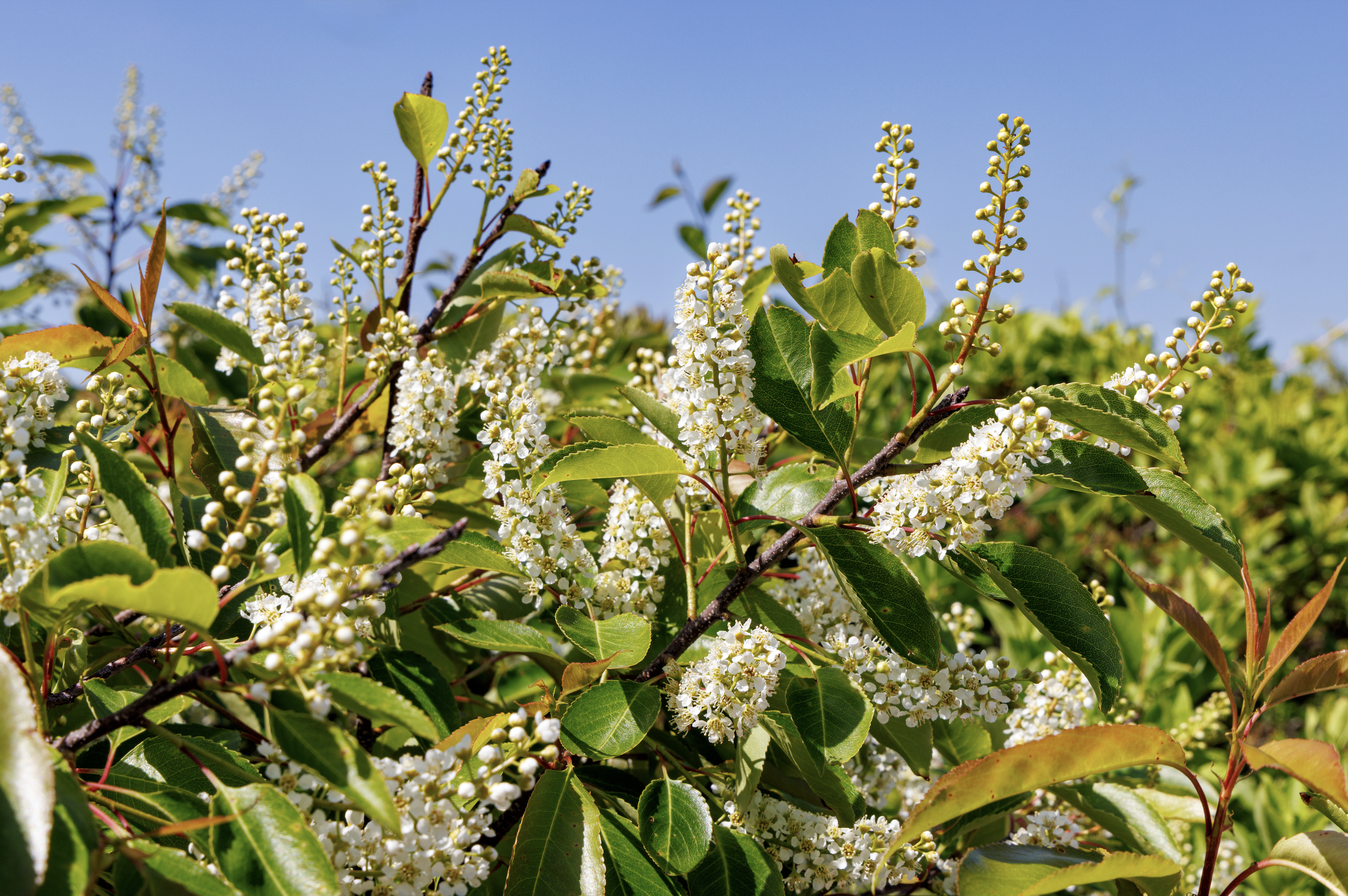 Screenshot 2026-04-05 at 11.53.41 PM.png