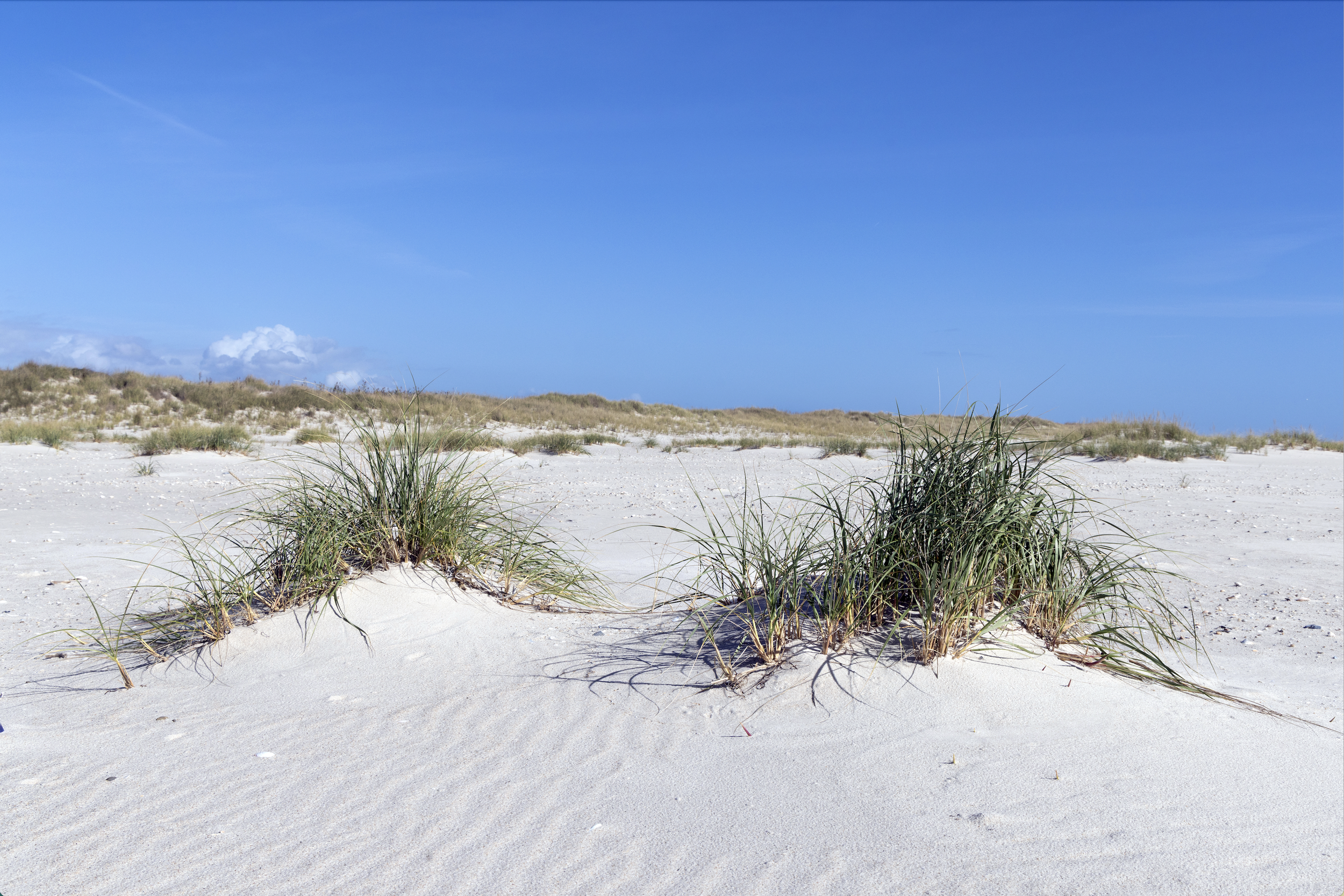 Screenshot 2026-03-31 at 1.24.30 AM.png