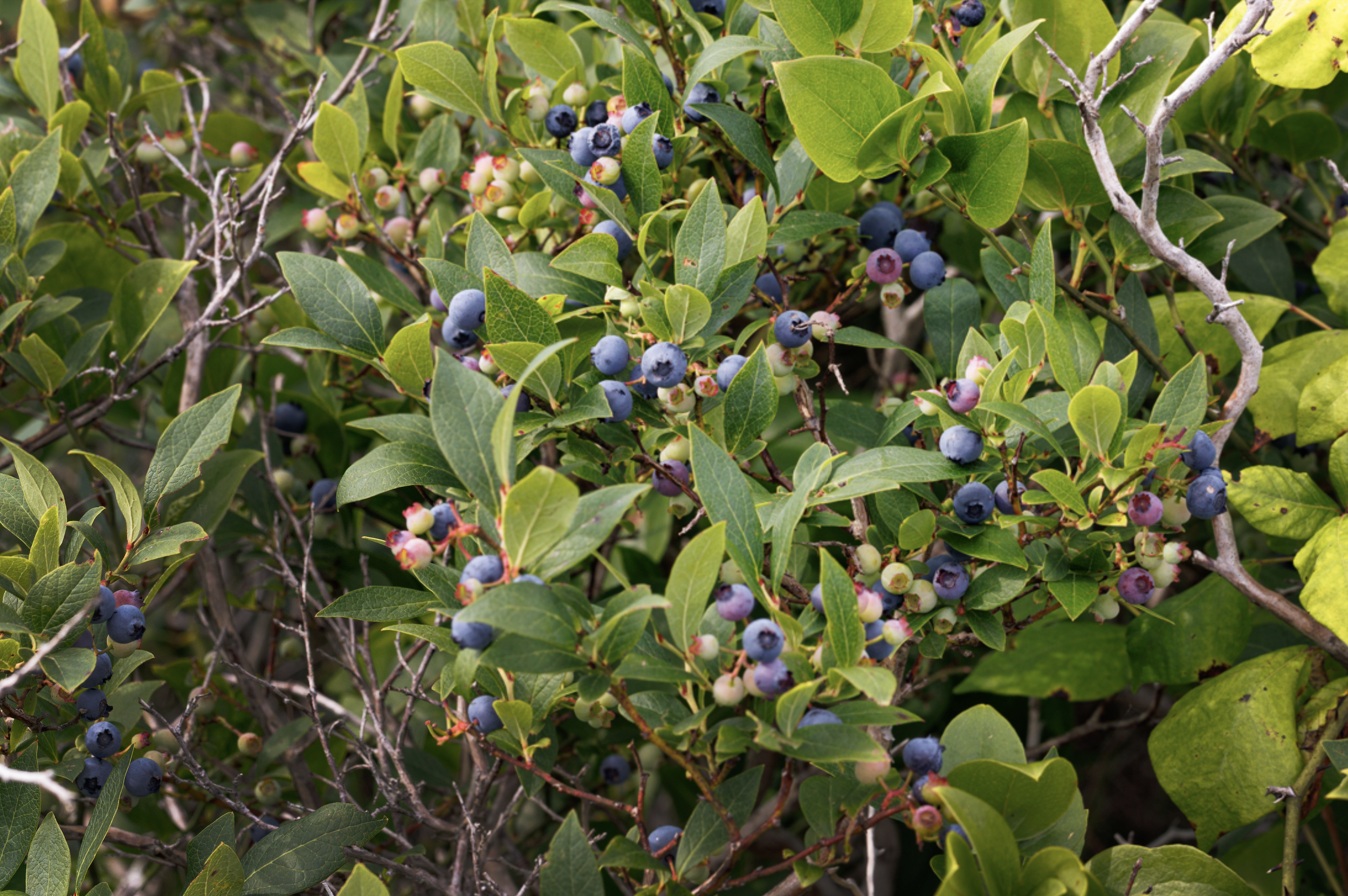 Screenshot 2026-04-05 at 11.59.26 PM.png