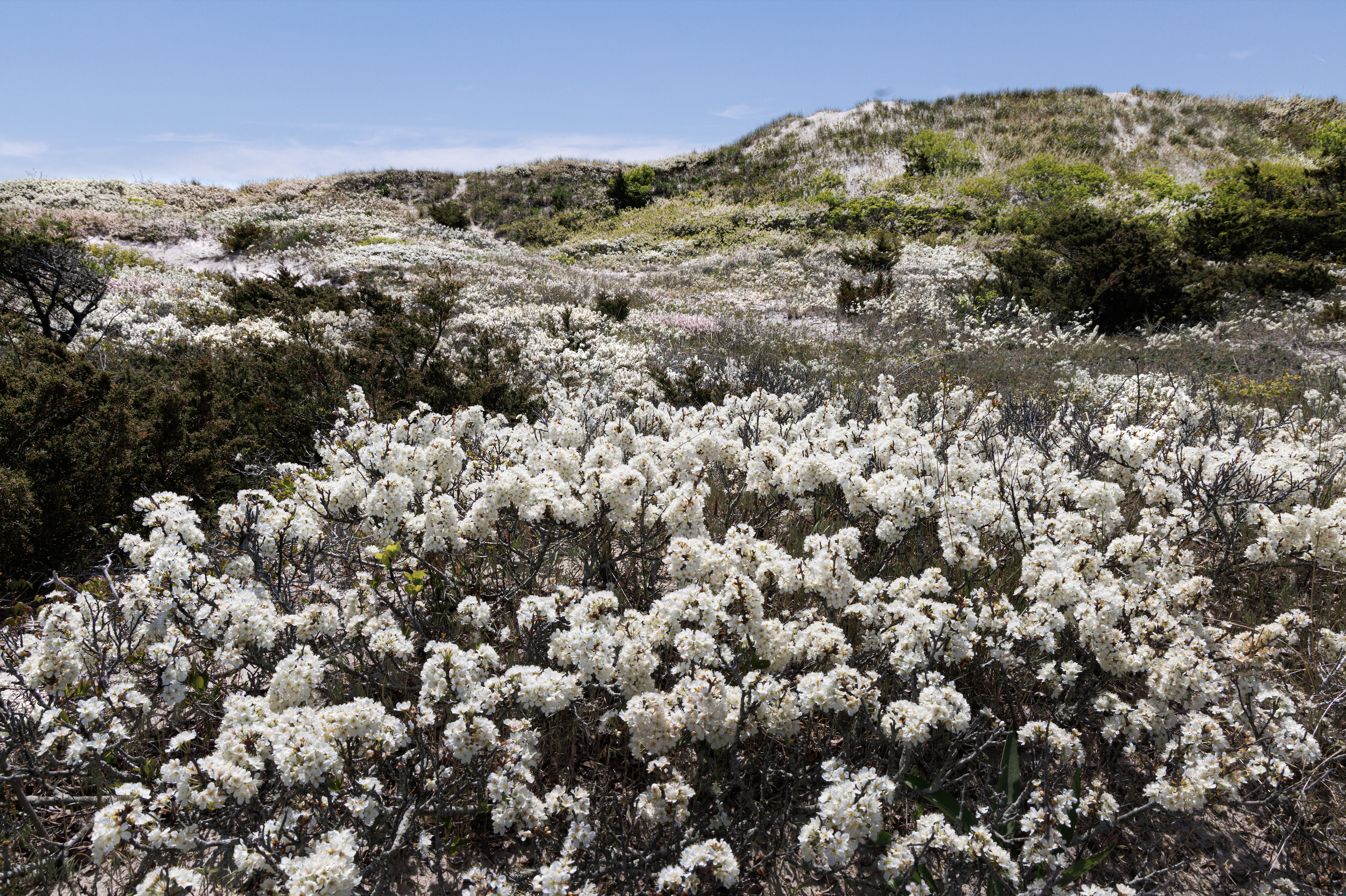 Screenshot 2026-04-05 at 11.50.28 PM.png