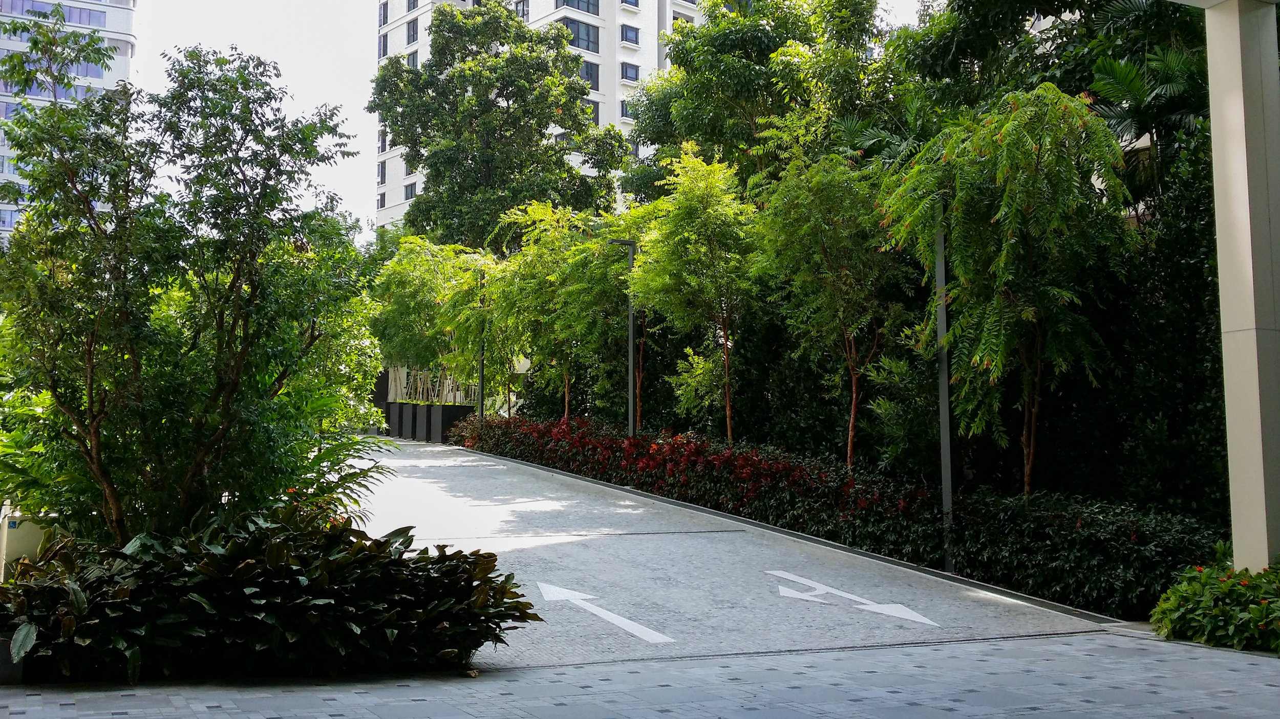 A landscaped urban area with a pathway surrounded by lush green trees and shrubs, with tall modern apartment buildings in the background.