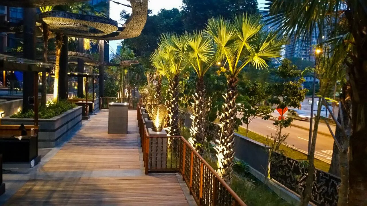 Outdoor wooden patio with tropical plants and palm trees lit by landscape lighting, near a city street with buildings and traffic.