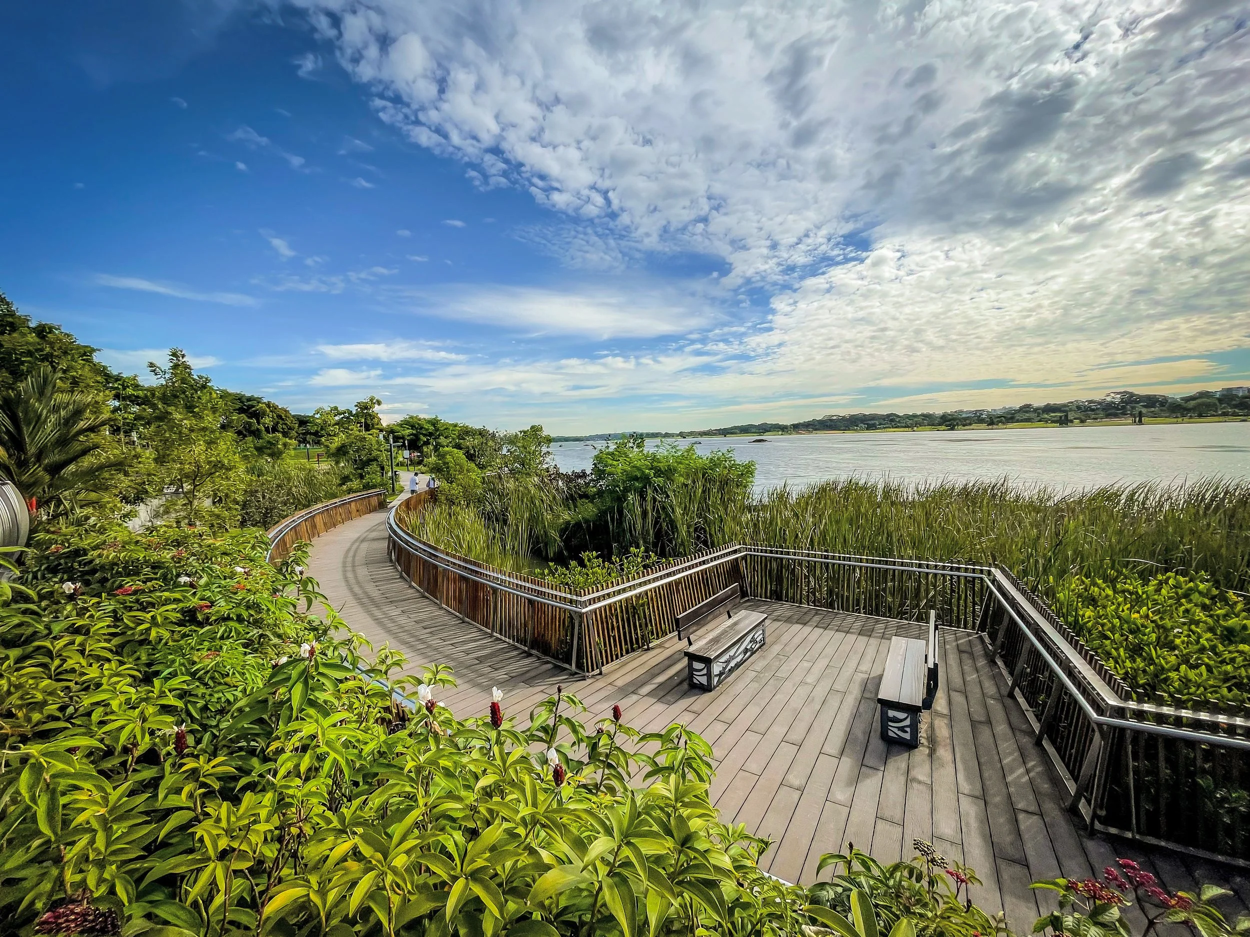 Board Walk