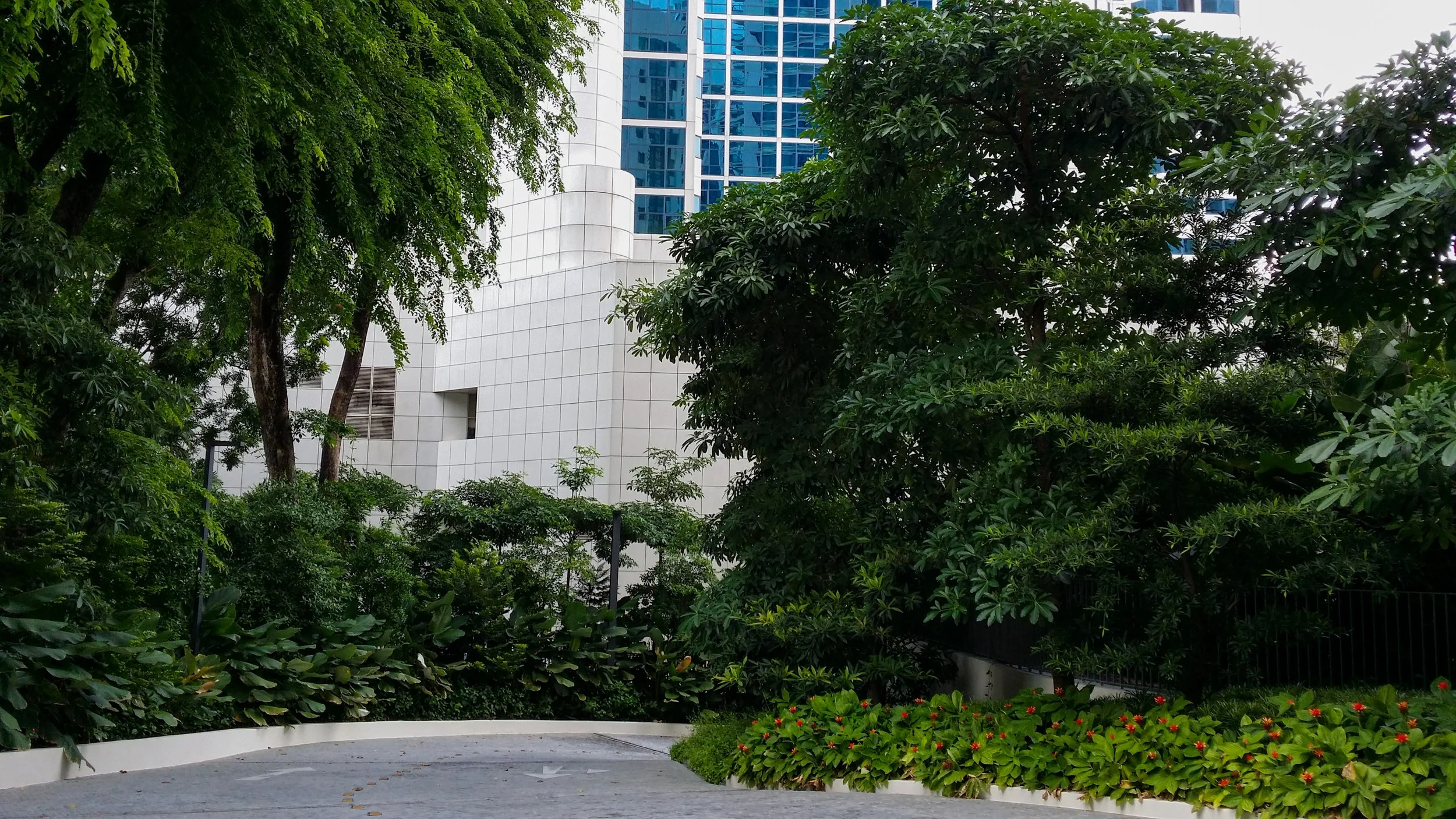 Urban park with lush greenery, trees, and a curved pathway in front of a modern glass and white building.