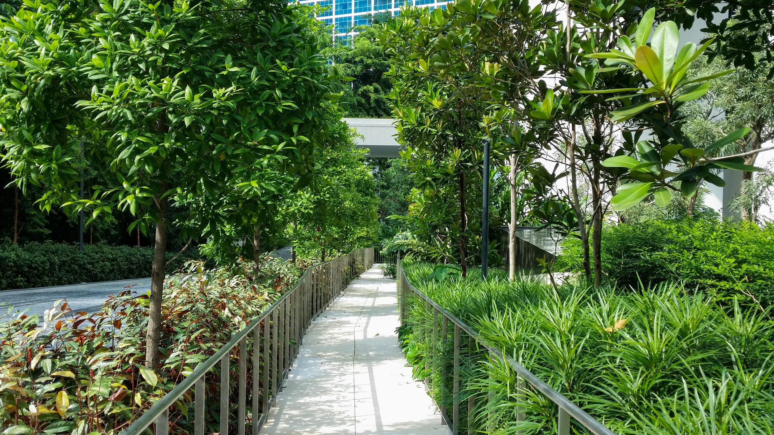 A lush urban park with a winding concrete pathway lined by green plants, shrubs, and trees. Tall buildings are visible in the background.