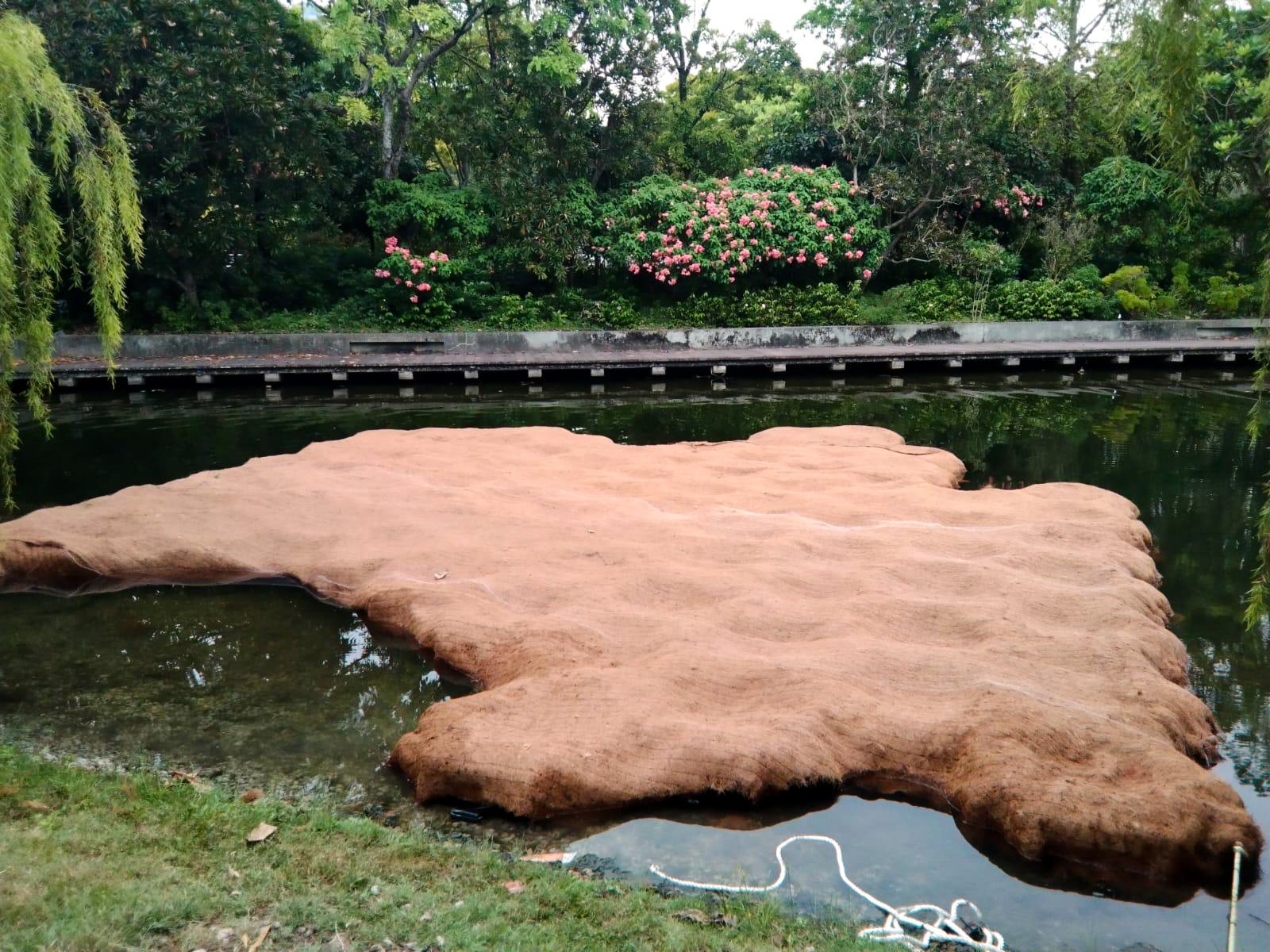 Large rock formation in a pond with surrounding green trees and flowering bushes, a pathway in the background.