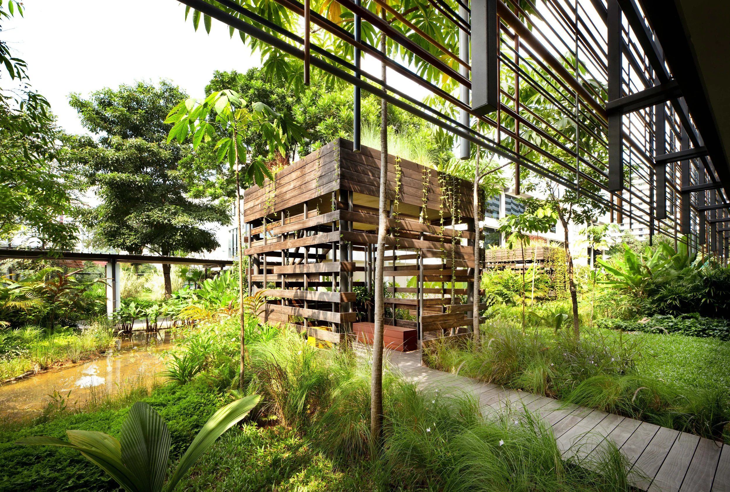 A modern building integrated with lush greenery, featuring wooden and metal architectural elements among trees and plants, with a pathway and water feature in a tranquil garden setting.