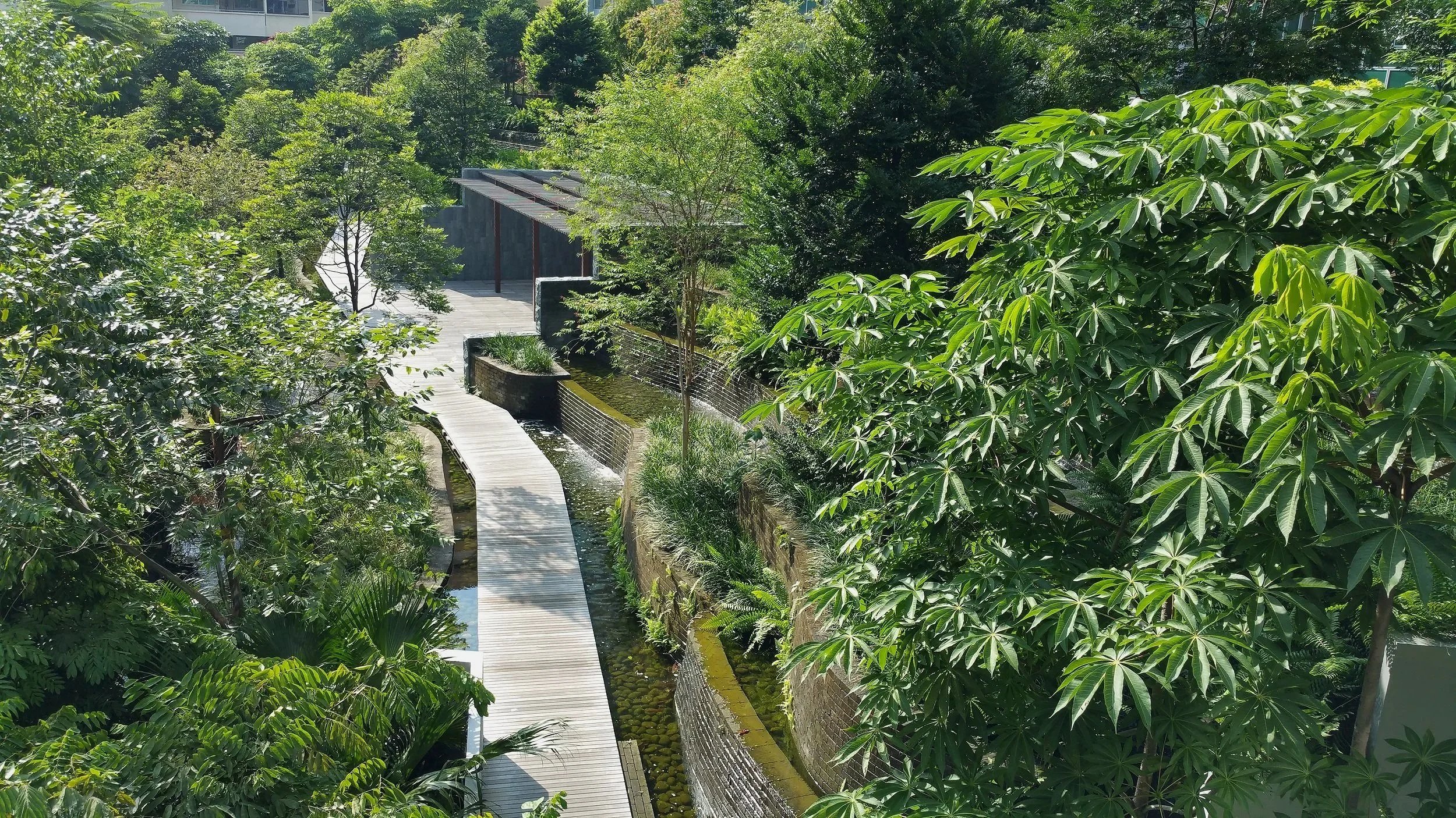 A lush green park with dense trees and plants, a wooden walkway, and a water feature running alongside the path.