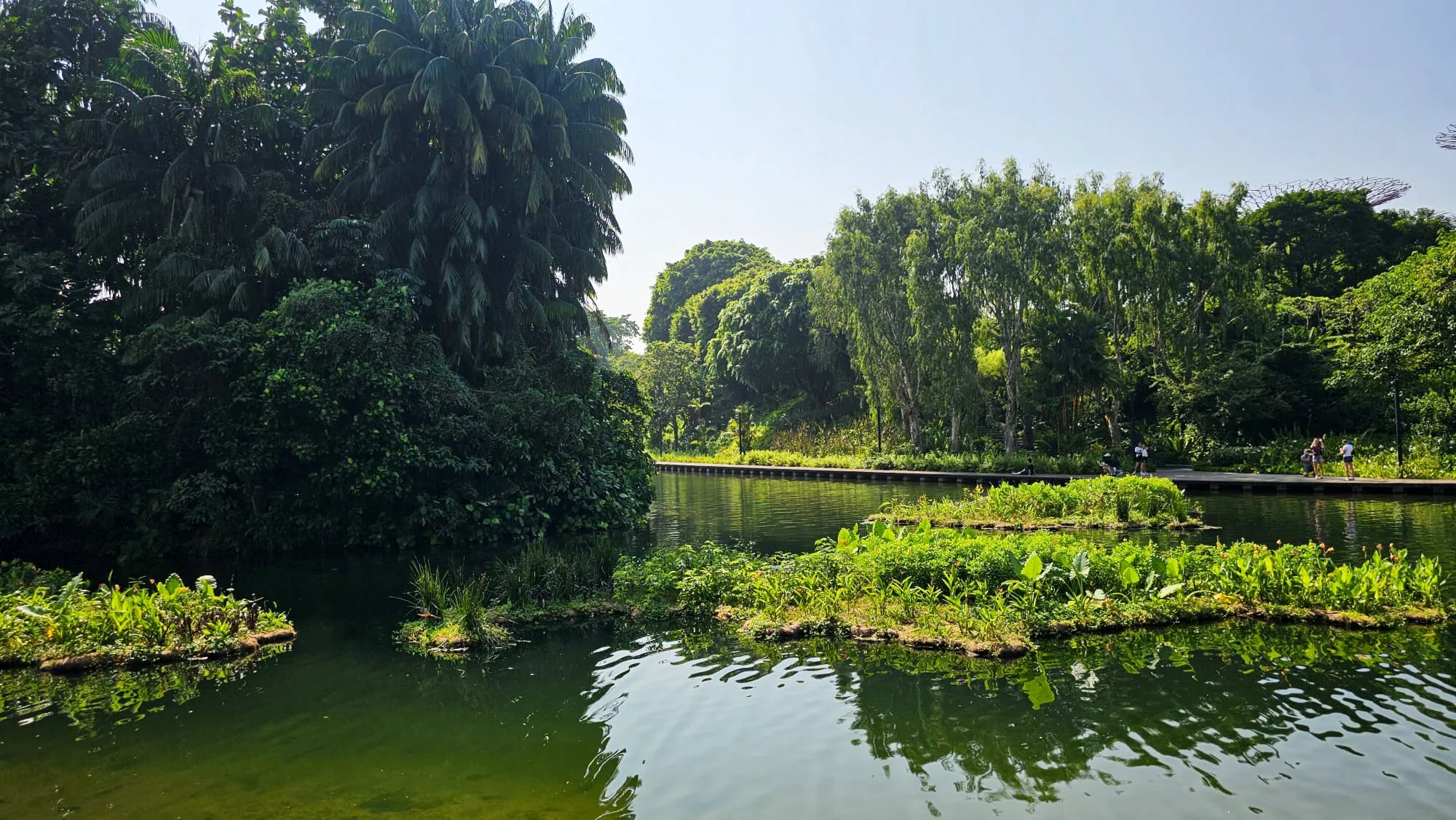 A lush green park with a pond surrounded by dense trees. People are walking on a pathway in the distance, with sunlight filtering through the foliage.