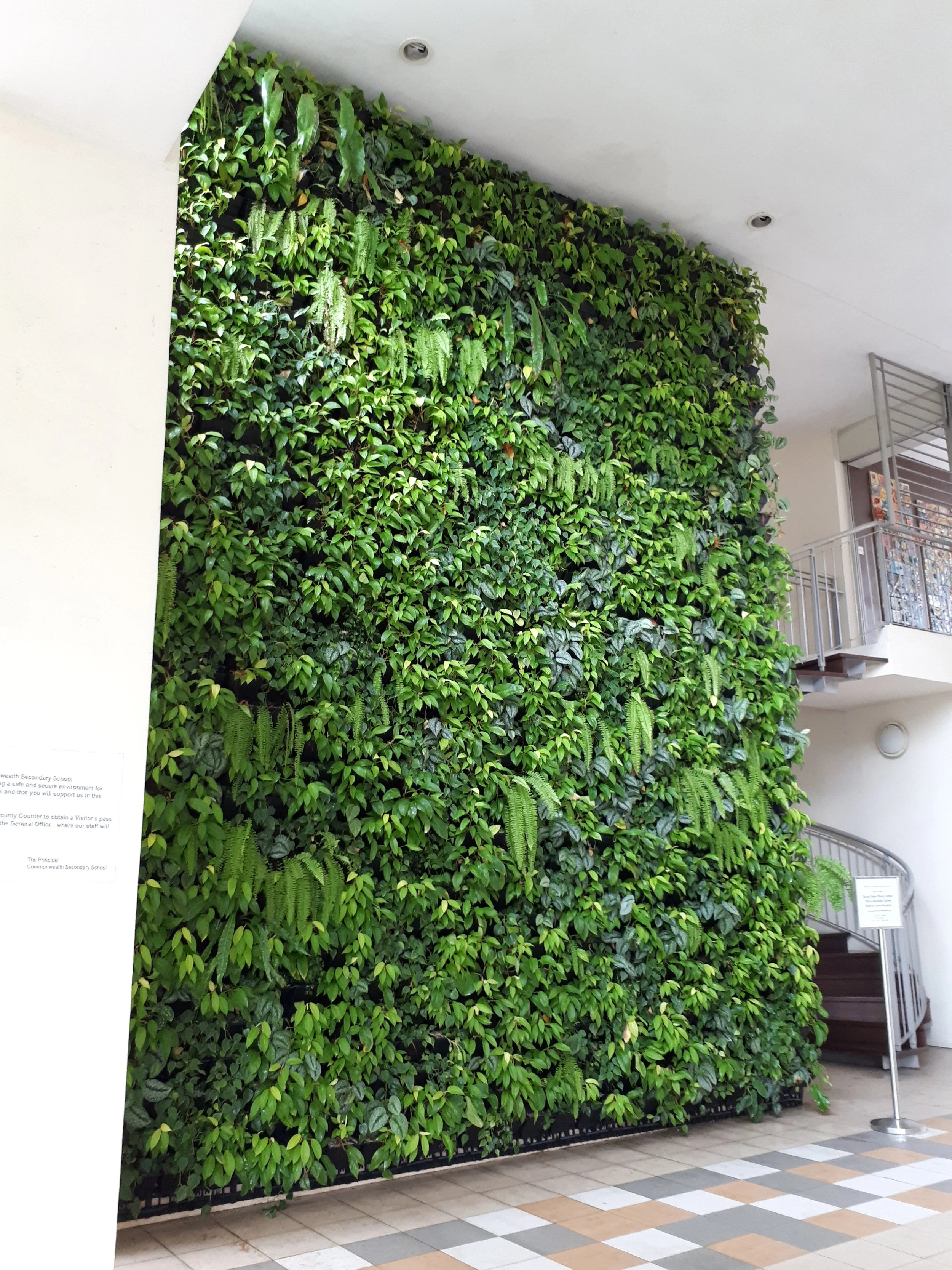 Indoor vertical green wall with various plants.