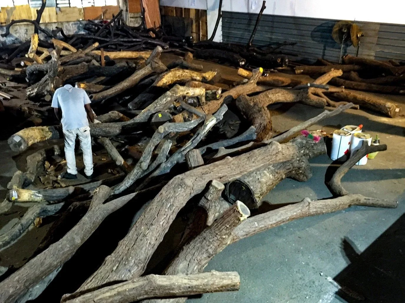 A person wearing white clothing stands among large, cut tree logs stacked on the ground. The logs appear to be freshly cut and are arranged in a somewhat haphazard manner. There are some outdoor elements in the background, including a partially visible fence and a wall.