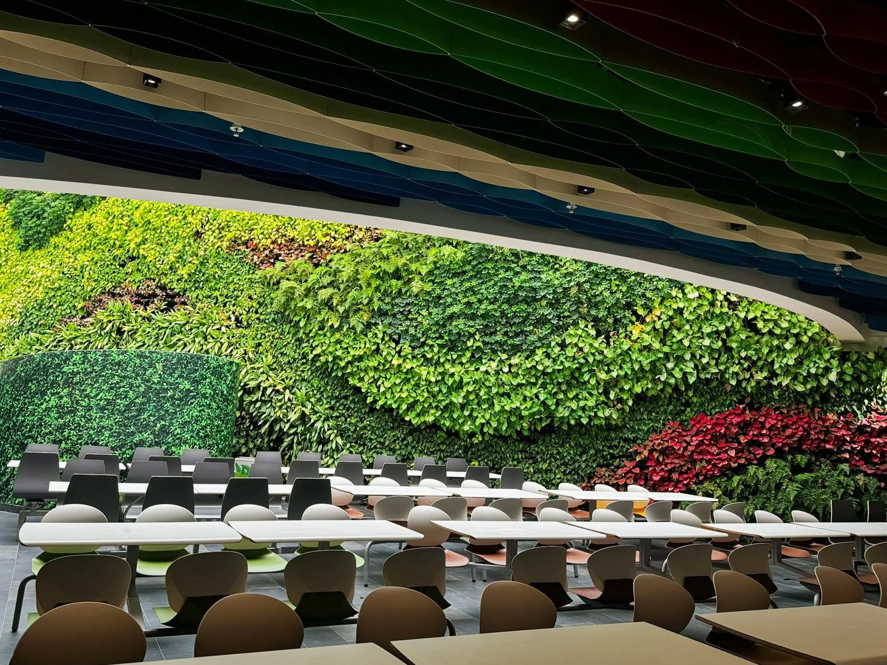 An indoor conference room with rows of white and black chairs and tables facing a large green wall made of foliage, with a curved ceiling featuring multicolored panels in green, beige, blue, and red.