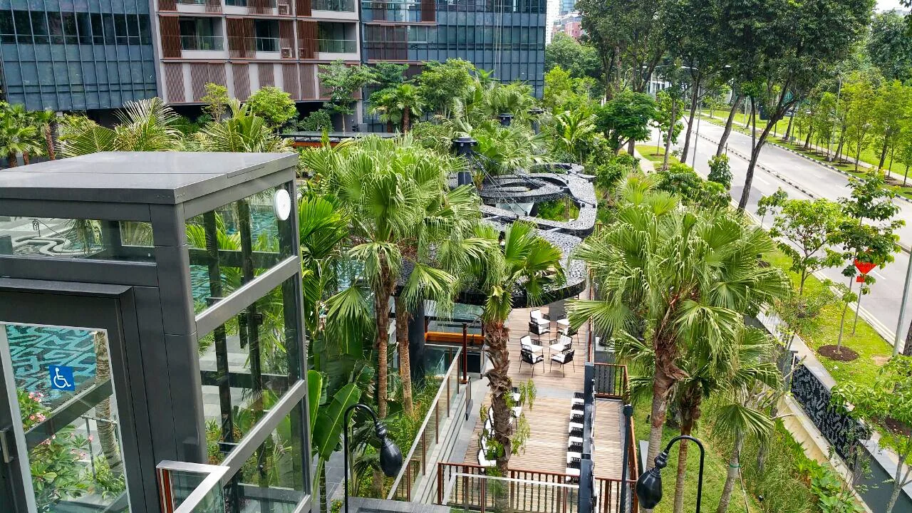 View of a lush outdoor area with palm trees and seating, next to a modern building with glass windows, in an urban setting.