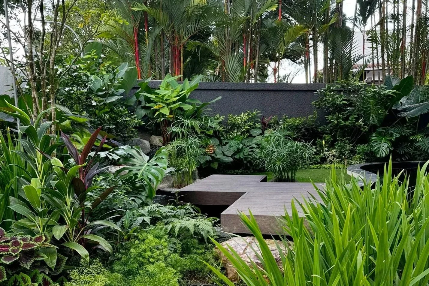 Lush tropical garden with various green plants, including large leaves and tall grass, beside modern wooden stepping stones and a dark wall in the background.