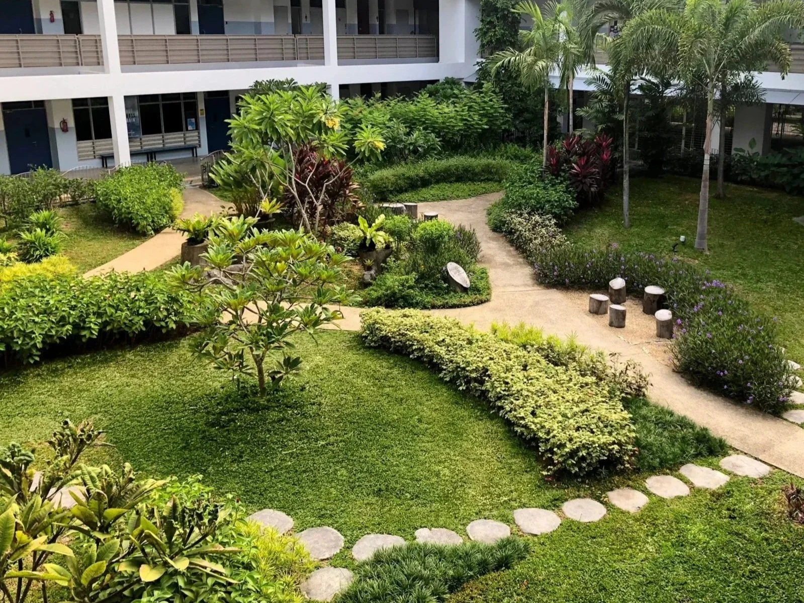 A lush courtyard garden with a variety of green plants, trees, and shrubs. There are pathways and small seating areas made of tree stumps. The garden is surrounded by a white building with balconies and doors.