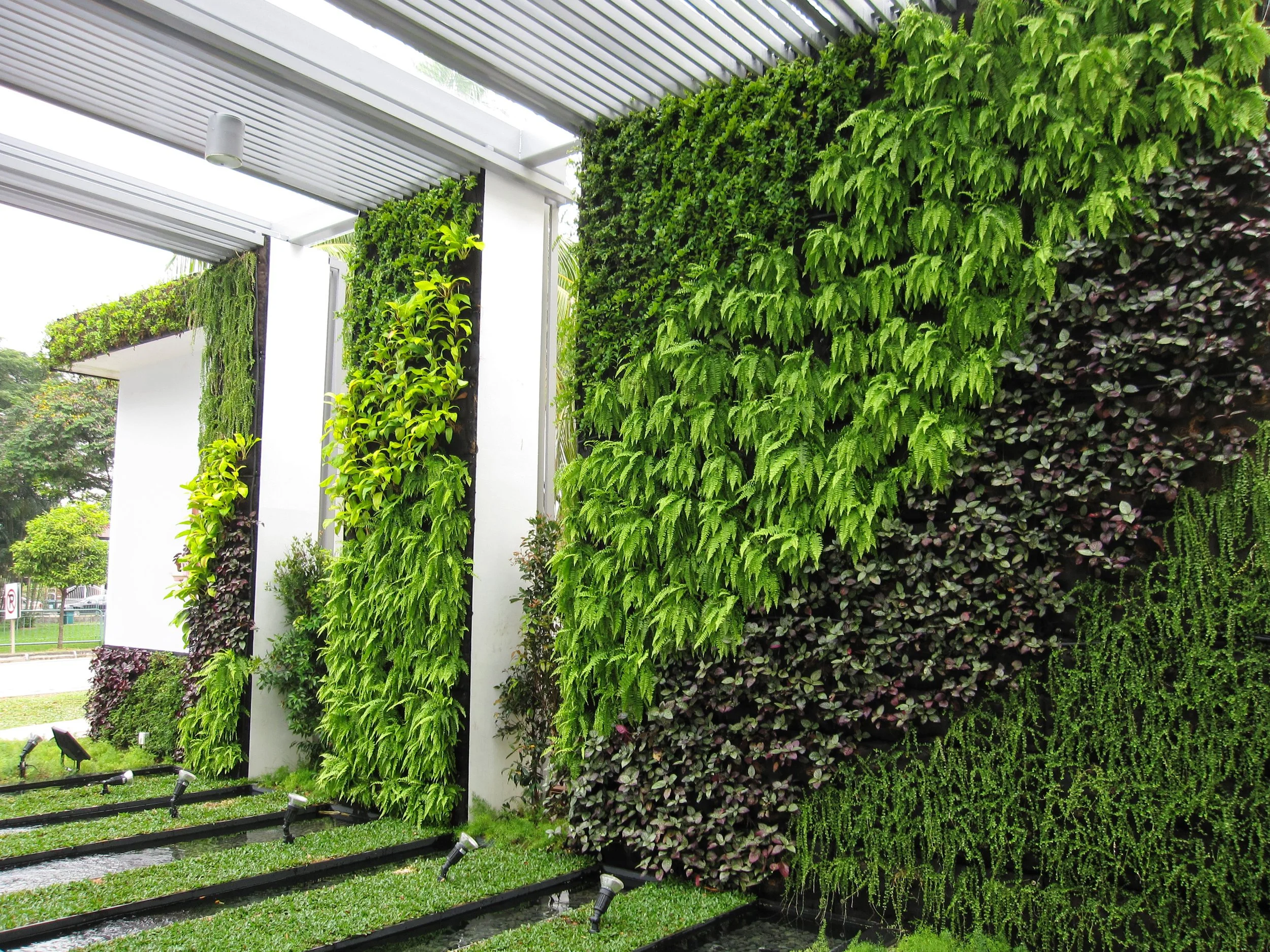 Green wall system with vertical planting along a sheltered walkway