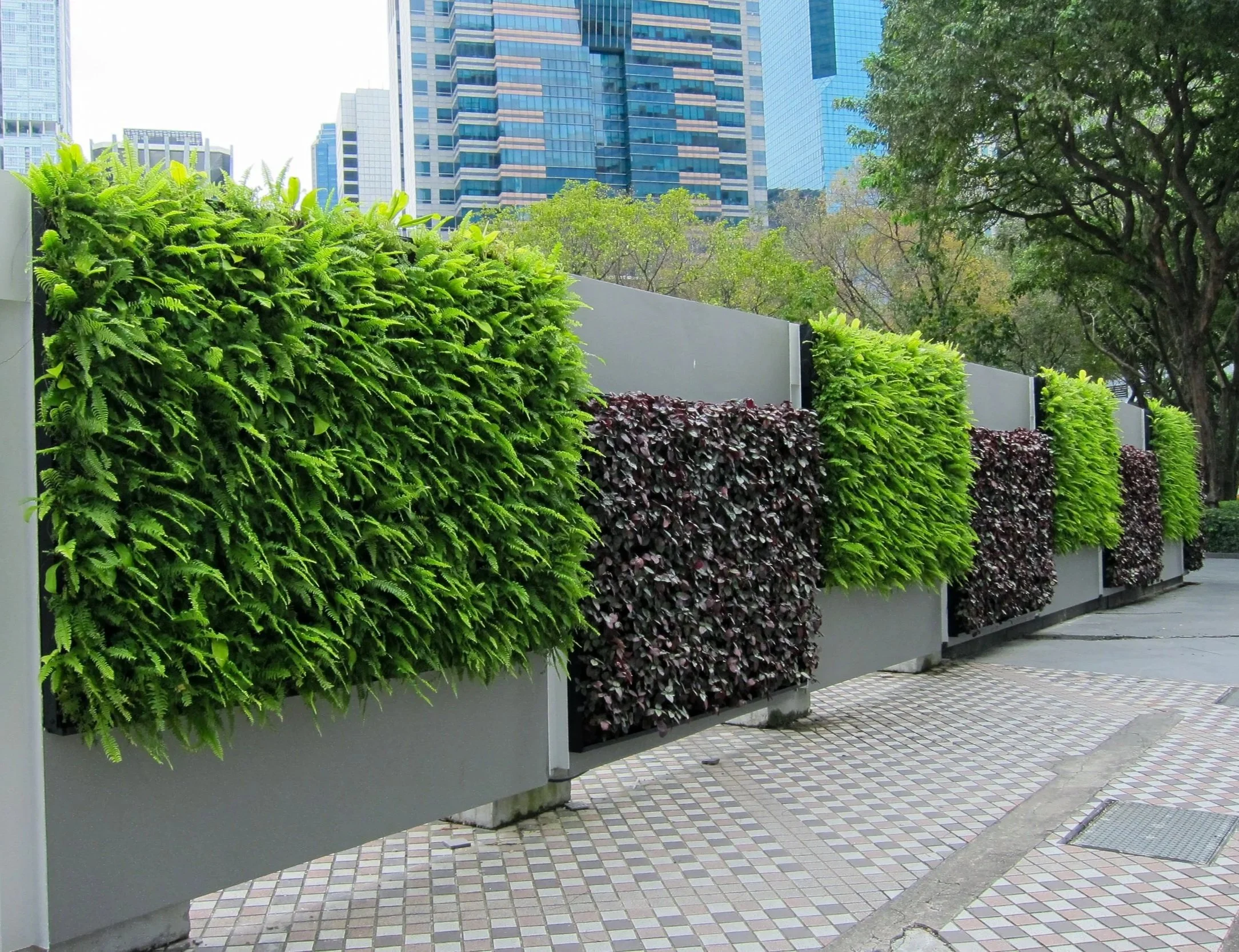 Green wall panels installed along a city sidewalk