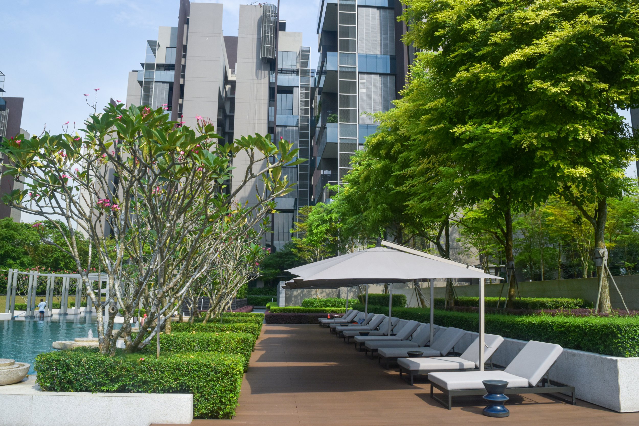 A modern outdoor lounge area with white lounge chairs and umbrellas beside a swimming pool, lush green trees, and a tall contemporary building in the background.