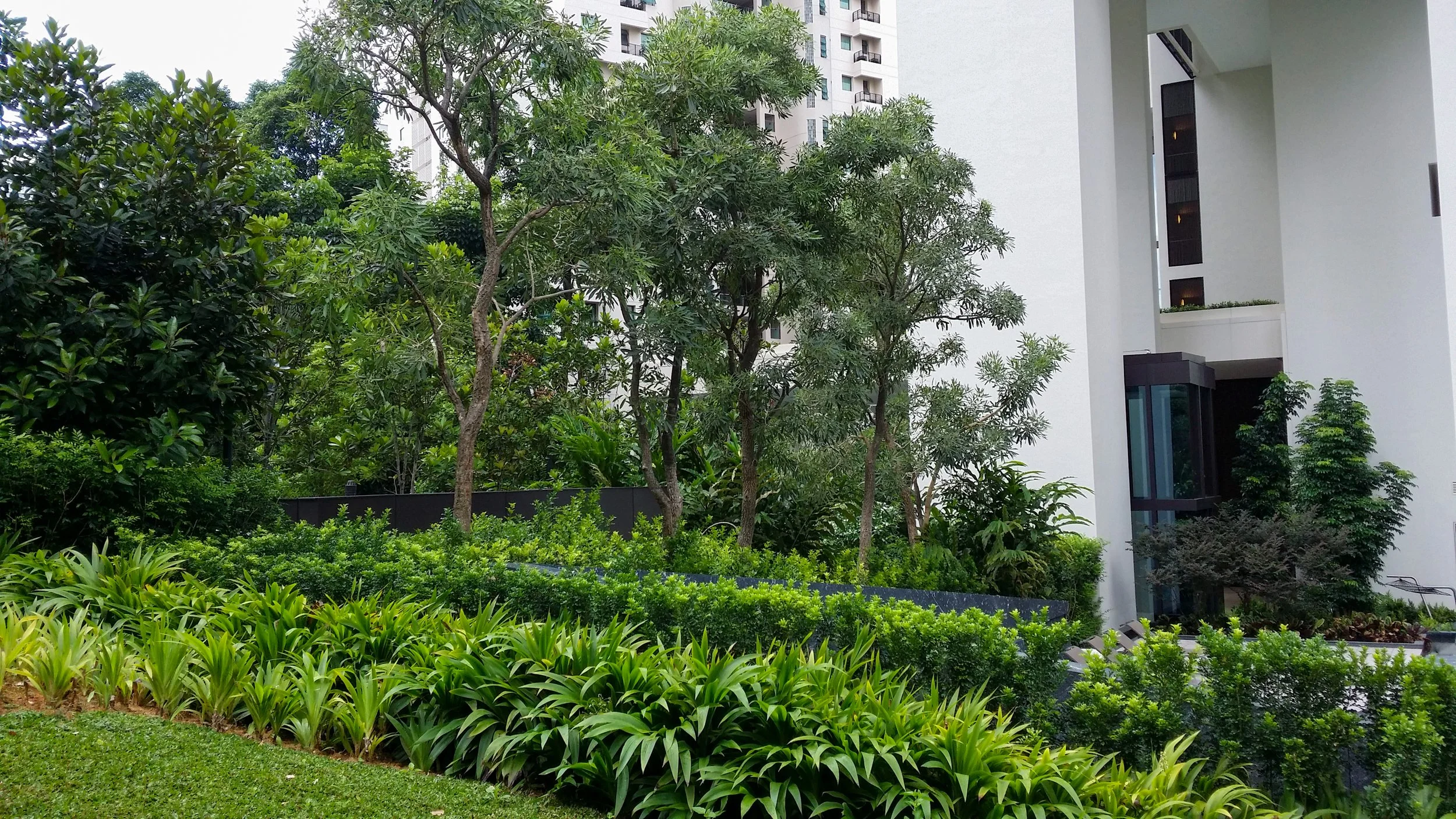 Urban garden with trees and green plants next to modern white building with balconies.