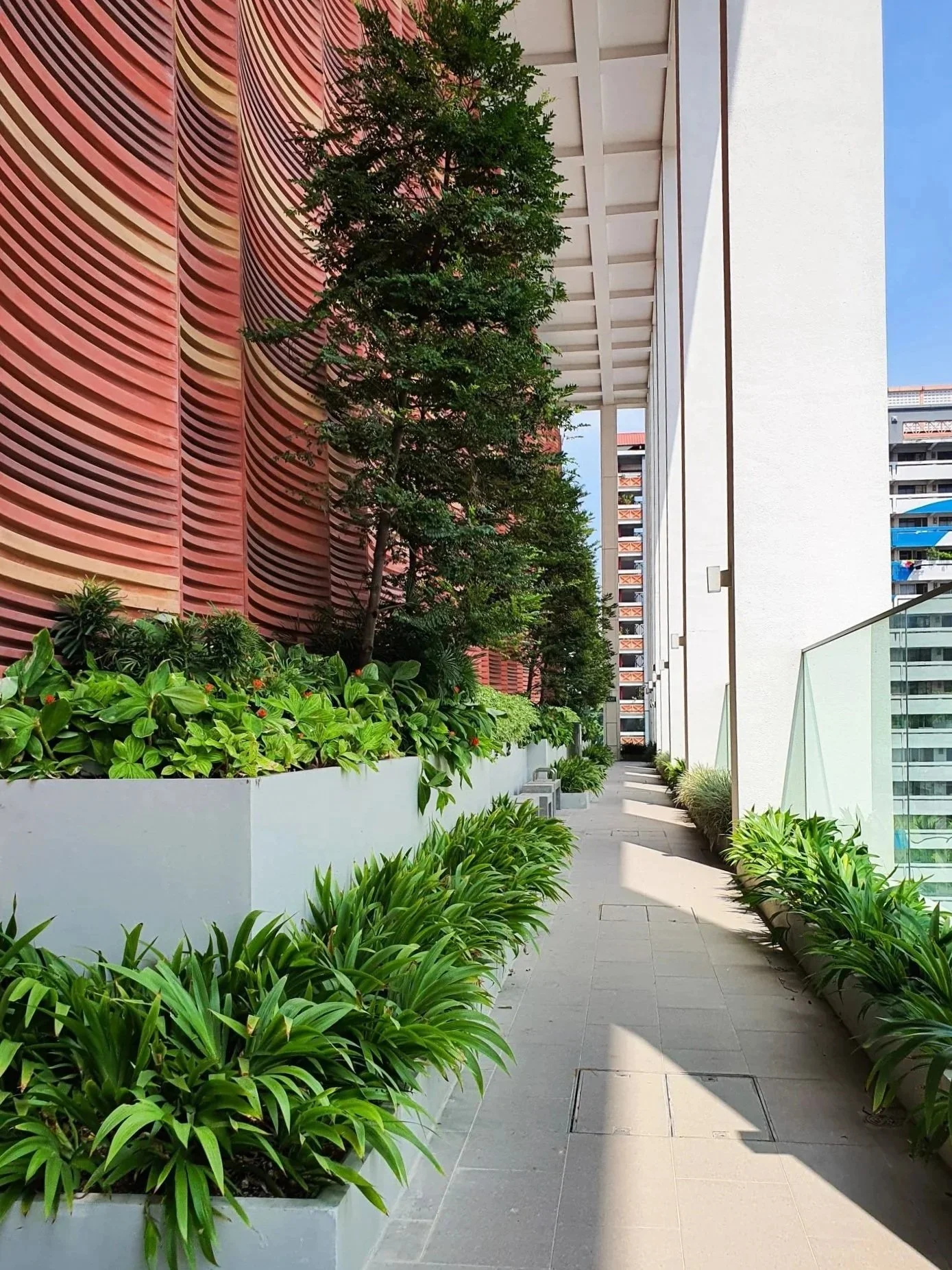 An outdoor balcony or terrace with a landscaped garden, white planter boxes filled with green plants, and a pathway. There is a modern building wall with decorative curved panels in red, yellow, and black on the left side. A tree with green foliage is in the middle. The right side has a glass railing and tall white walls, with a view of surrounding high-rise buildings.