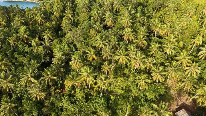Mentawai surf trip🌴
ALL LEVEL🔥
Place To Stay @kaini.mentawai 
- WE HUNTER ALL THE WAVES -
#mentawai #mentawaiislands