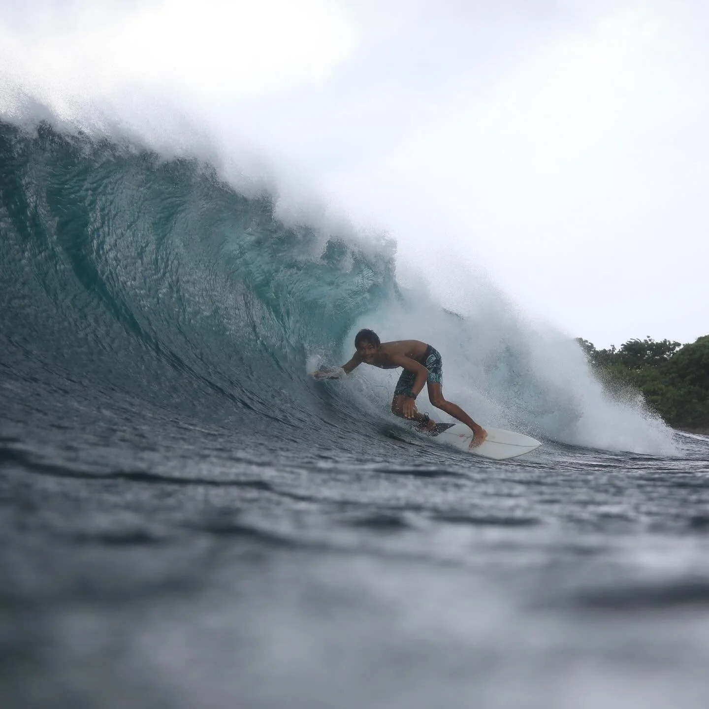 Feel yourself in an exciting wave🌴