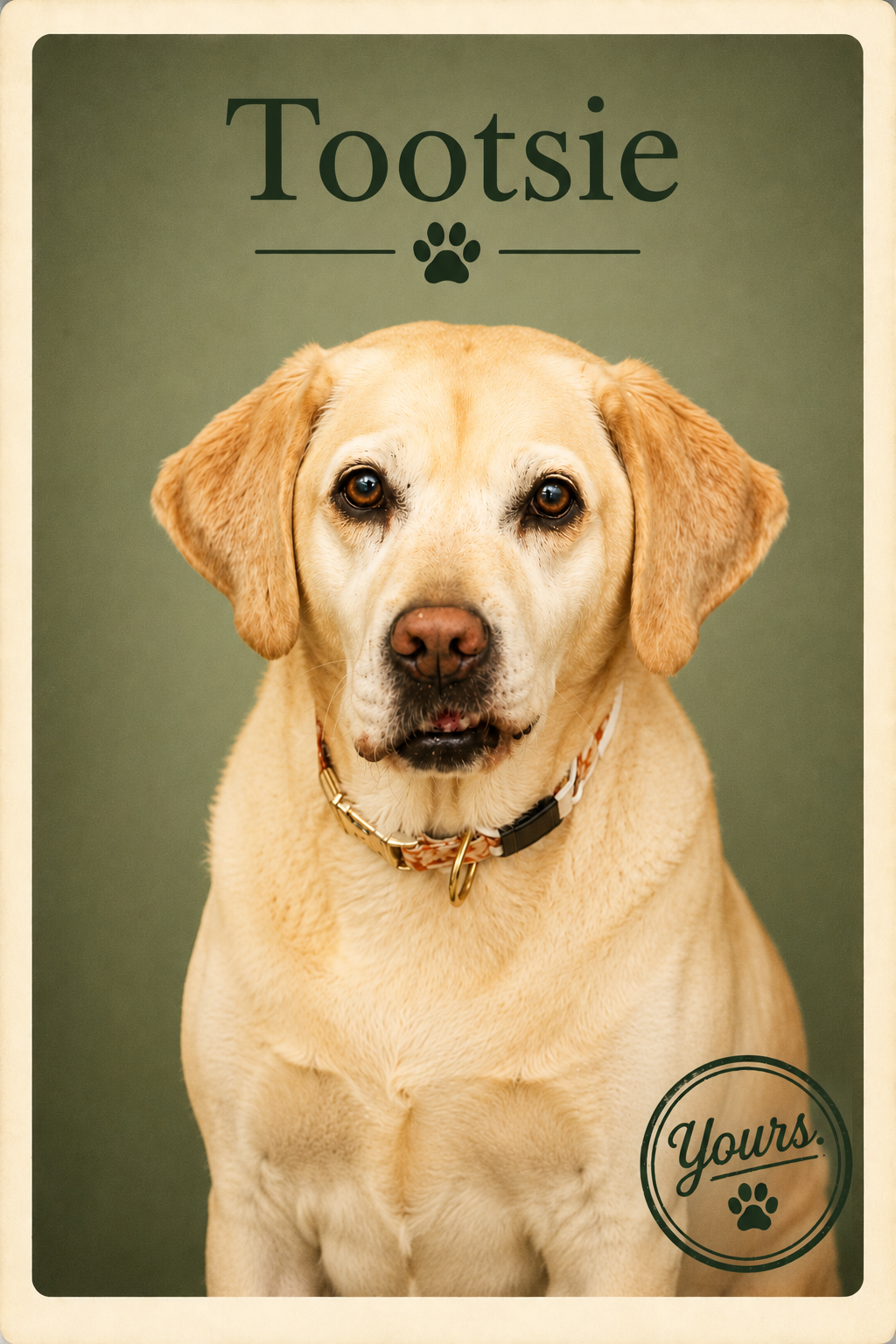 Dog Pet Portrait for Father's Day