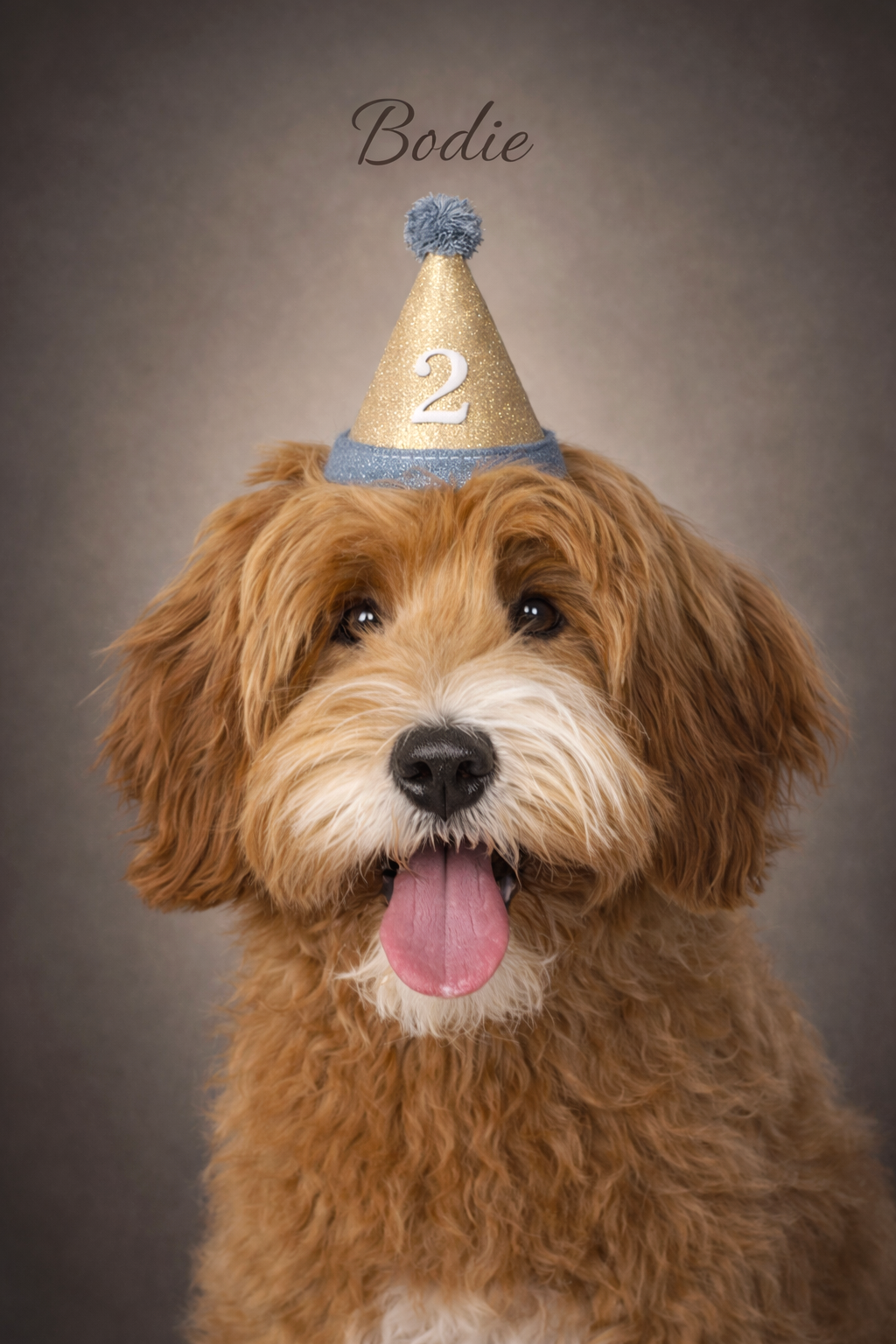 Photo of a dog wearing a birthday hat