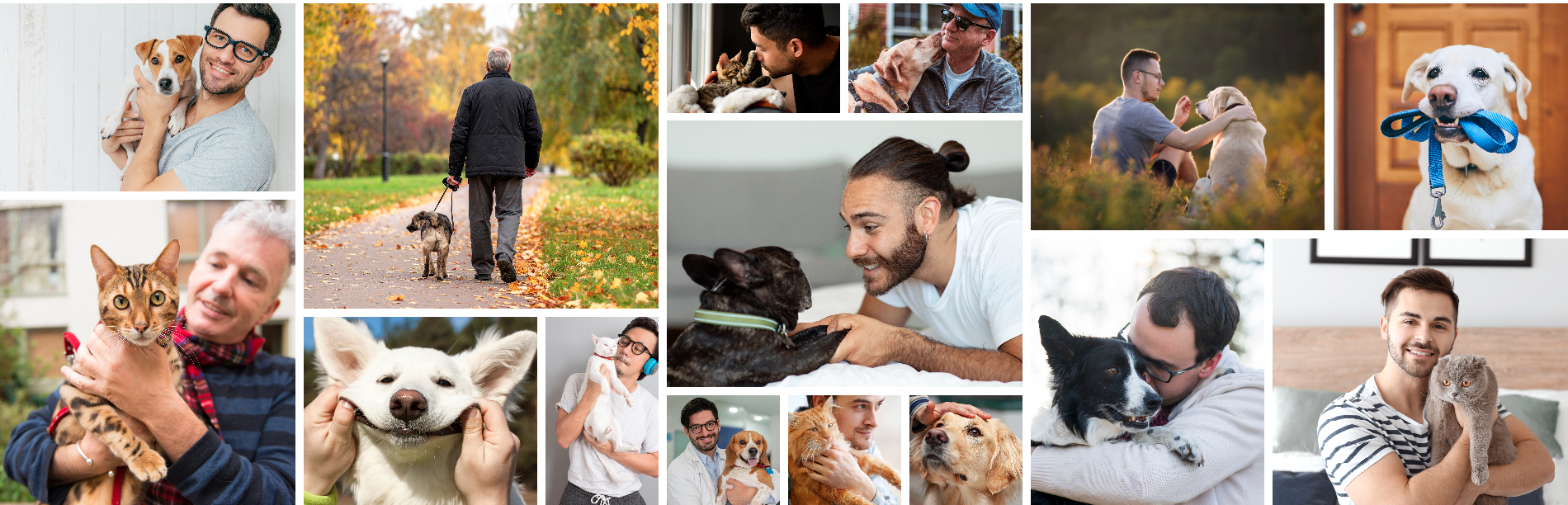 Fathers and their pets