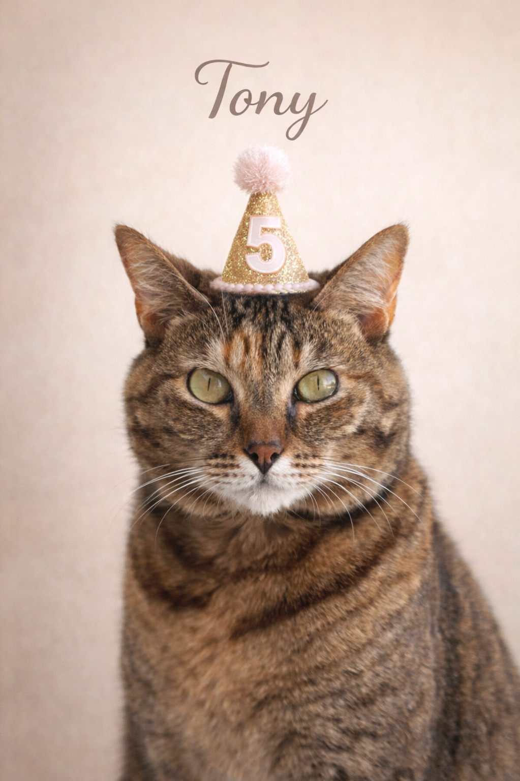 Custom photo of a cat wearing a birthday hat