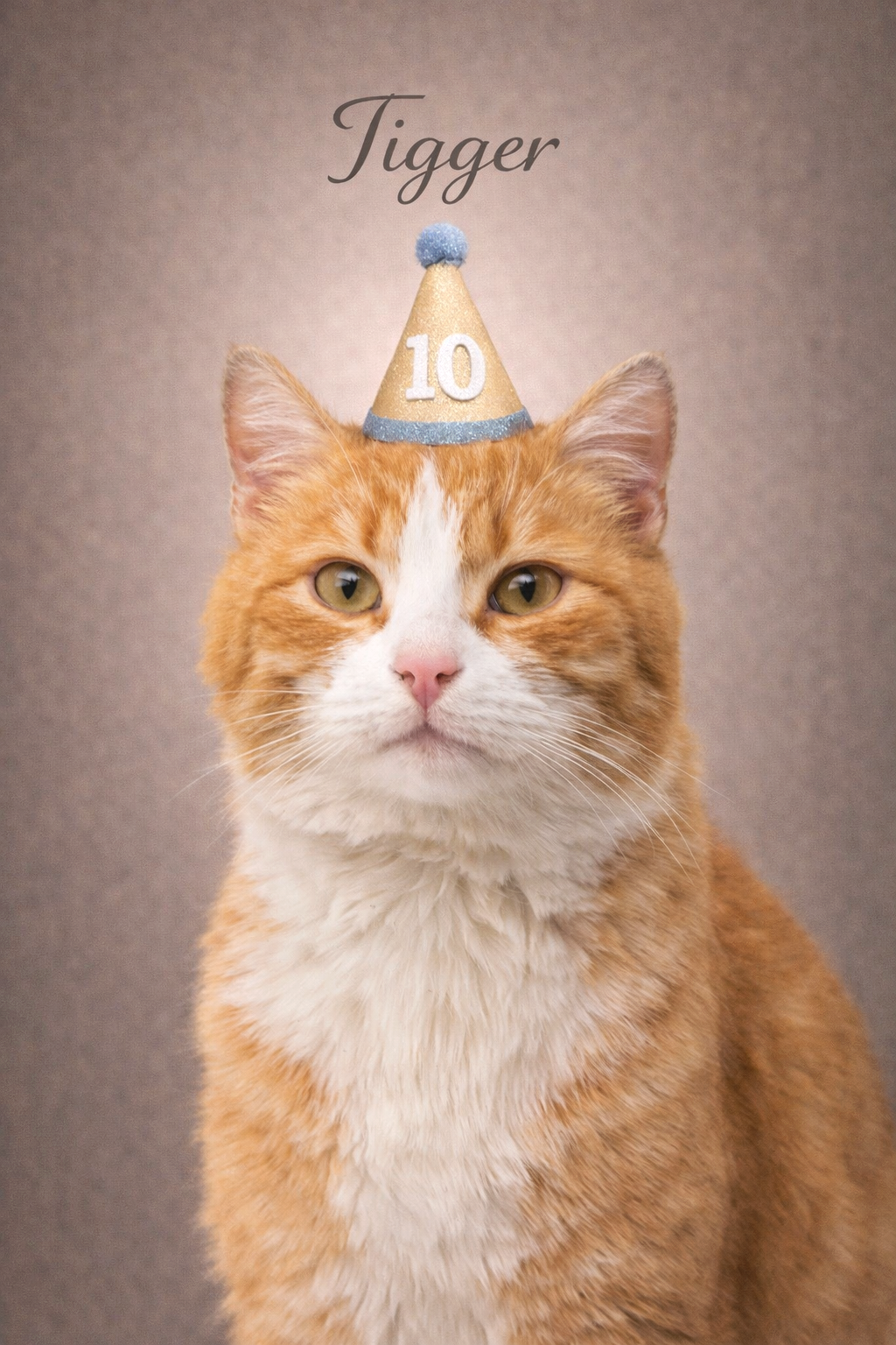 Custom photo of a ginger cat wearing a birthday hat at a celebration