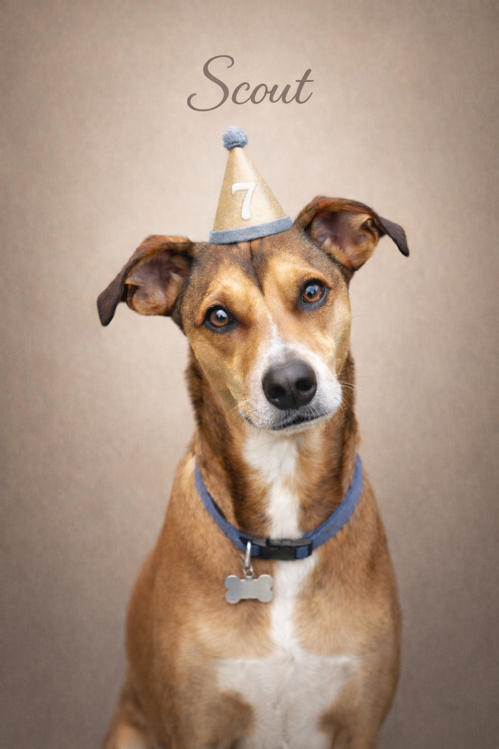 Custom photo of a dog wearing a birthday hat