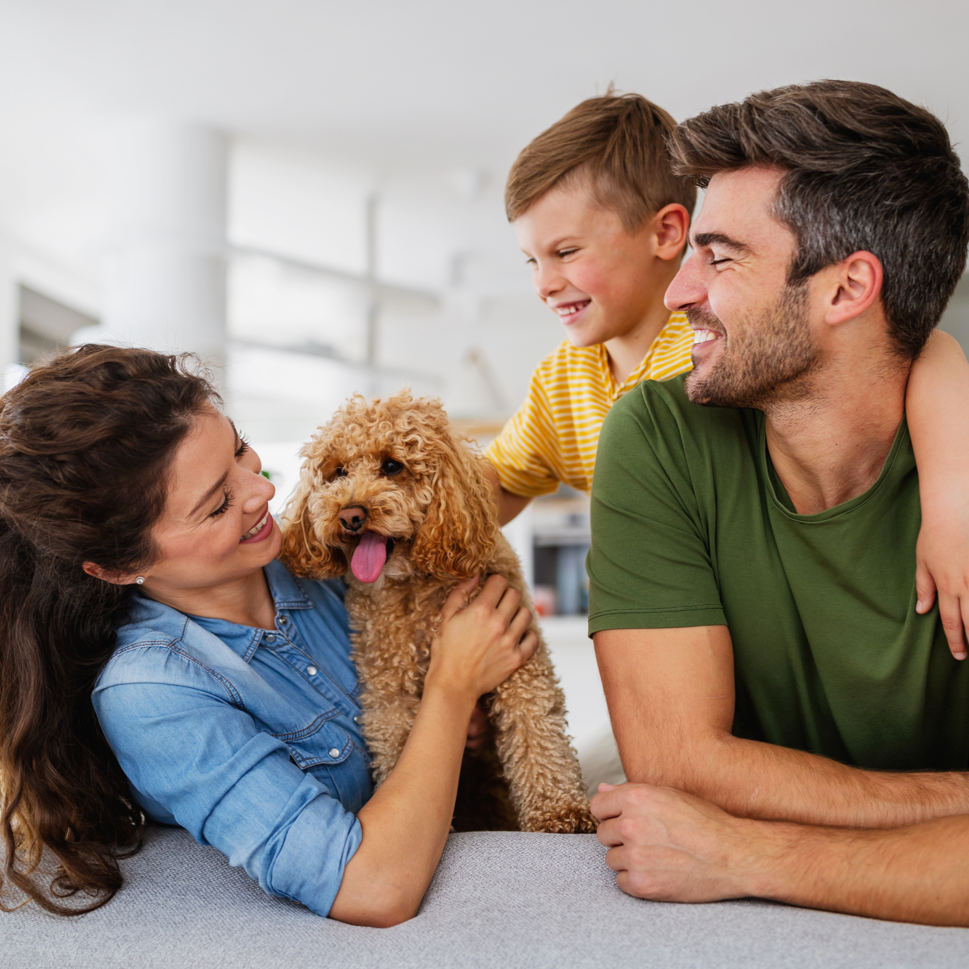 Husband, wife, and child with their pet dog
