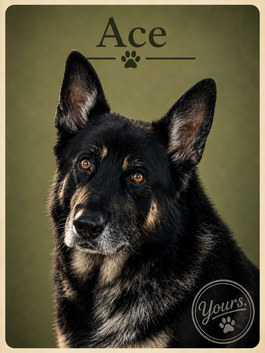 Dog Custom Pet Portrait for Father's Day