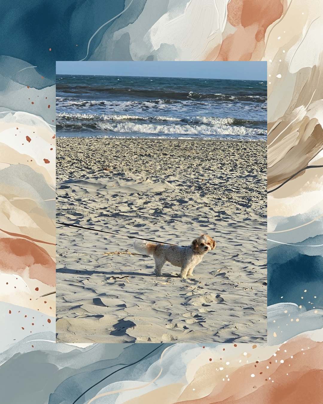 A small, fluffy white and tan Zuchon dog standing on a sandy beach with ocean waves behind her. The photo is centered within an artistic abstract border of navy blue, beige, and burnt orange watercolor strokes.