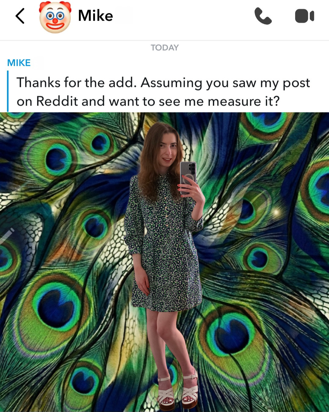 A Snapchat message from a man asks, "Assuming you saw my post on Reddit and want to see me measure it?" A mirror selfie of a brunette woman in a patterned Lilly Pulitzer green dress and heels, against an abstract peacock background, is inserted below