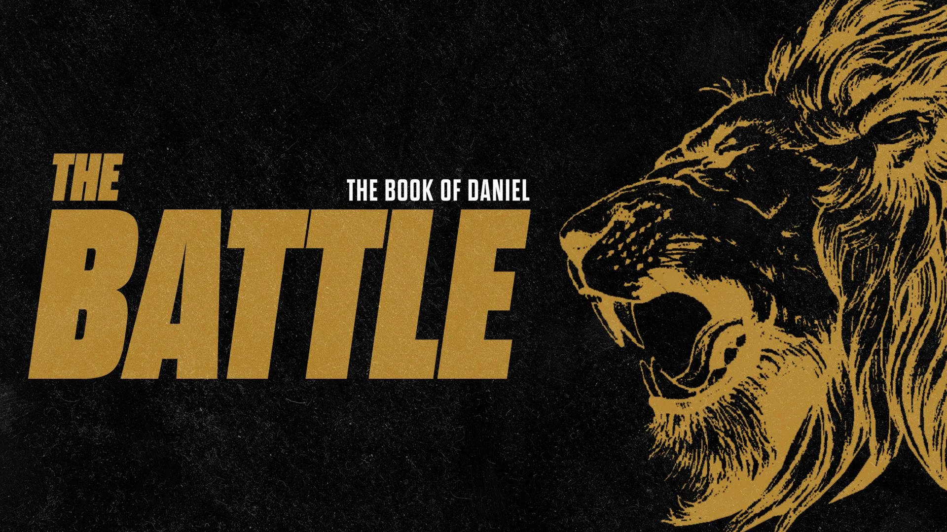 Daniel 2.jpg