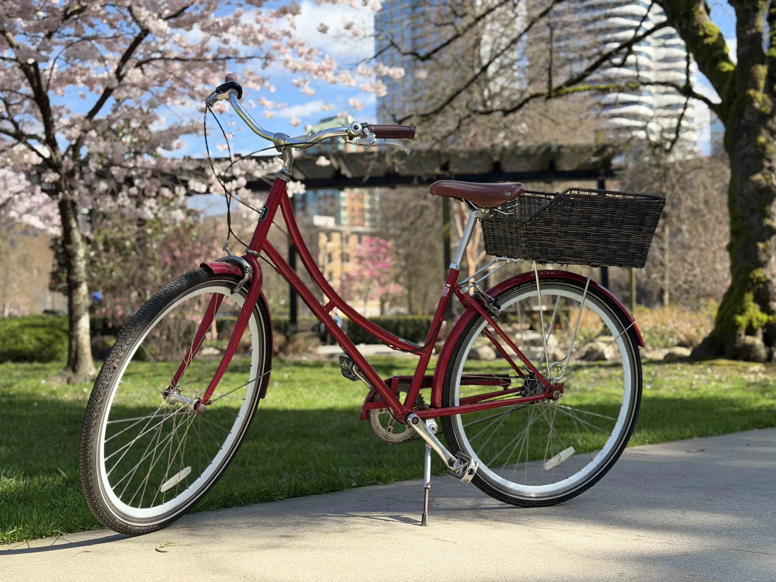 Red bicycle with a brown seat and front basket parked on a sidewalk in a park with blooming cherry blossom trees and buildings in the background.