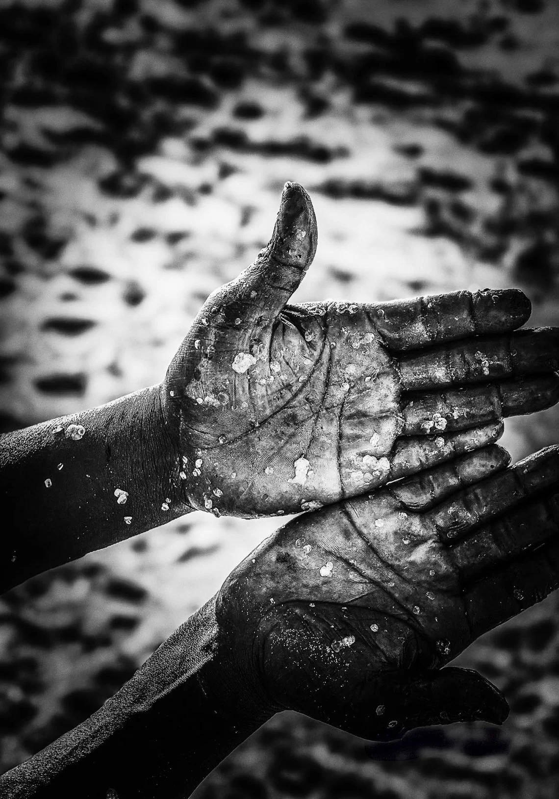 Mãos de Sal - Registro de uma vida dedicada ao mar.
Mais de 40 anos de trabalho e sobrevivência impressos em mãos calejadas, marcadas pelo sal, pelo tempo e pela resistência.

Um retrato da ancestralidade e da cultura de um povo que ainda ensina atra