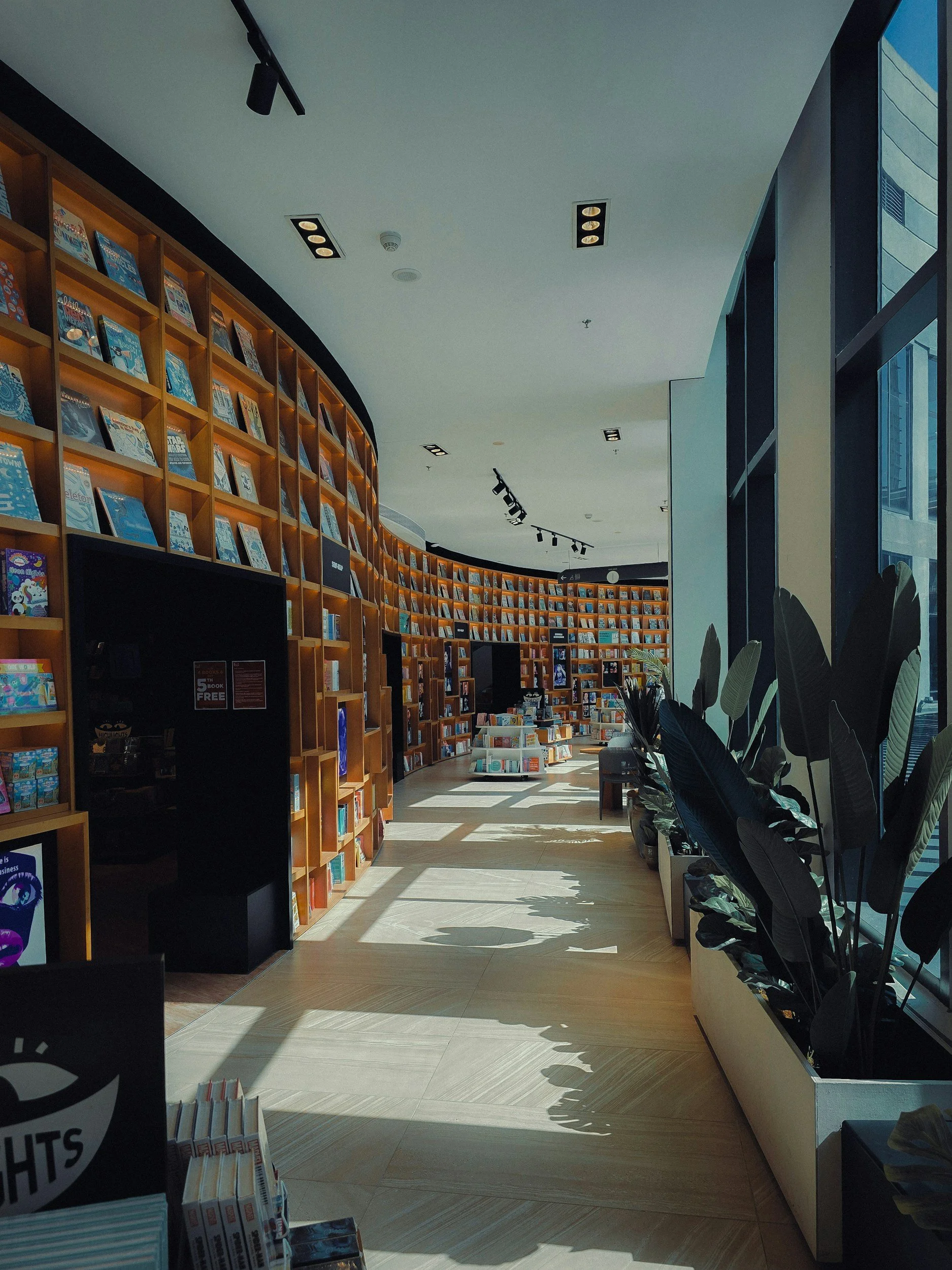 Interior of a modern bookstore or library with tall wooden bookshelves filled with books, sunlight streaming through large windows, and a sleek ceiling with lighting fixtures.
