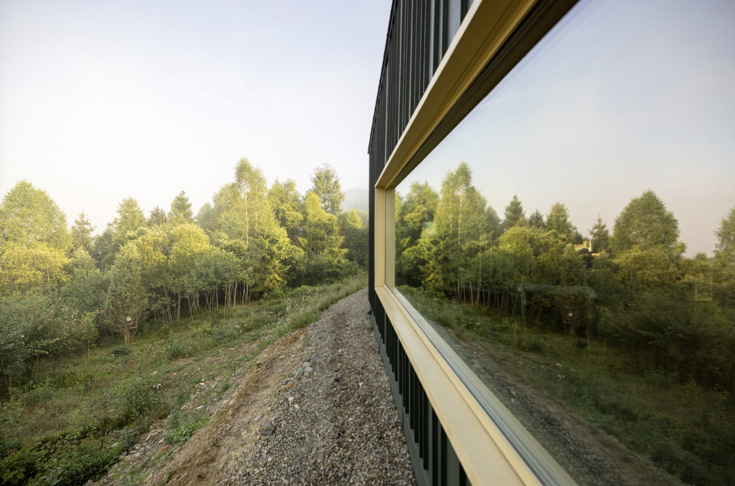 A modern house with large glass windows overlooking a forested landscape outside.