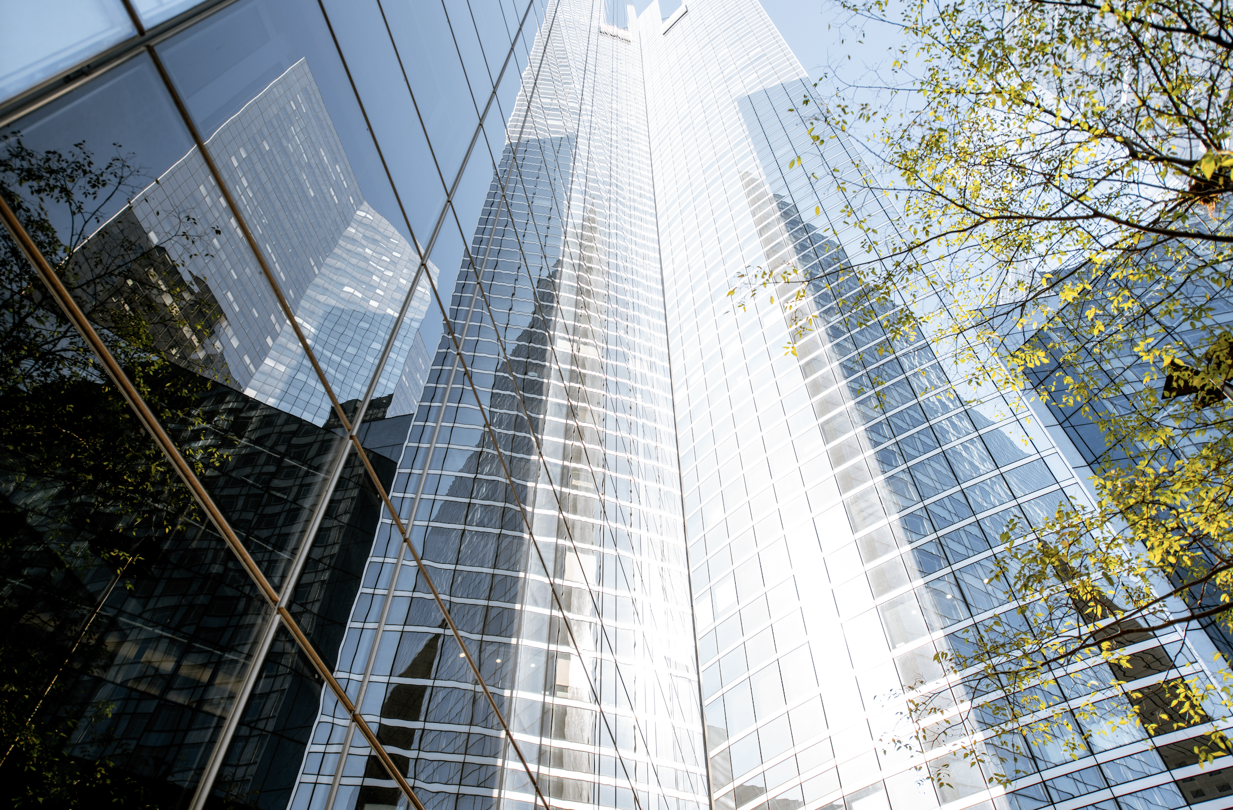 Looking upward at a modern glass skyscraper with reflections of other buildings and nearby trees with green leaves.