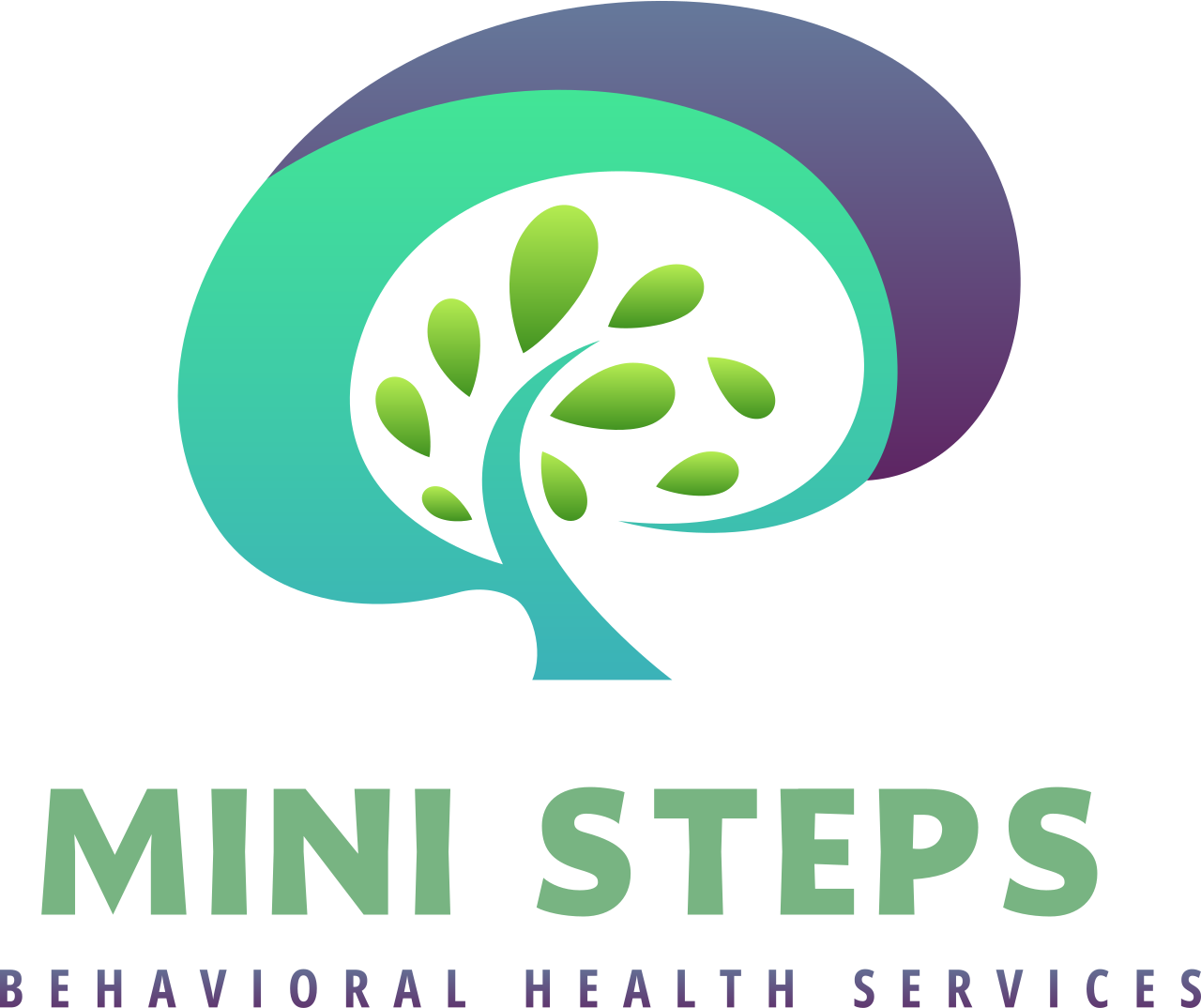 Mini Steps Behabioral Health Services