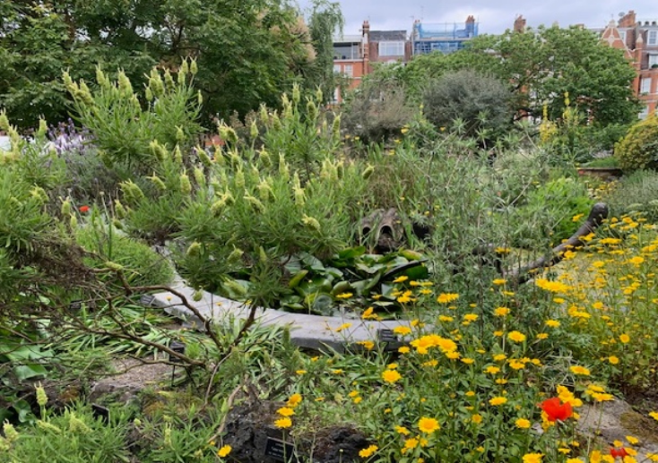 Chelsea Physic Garden