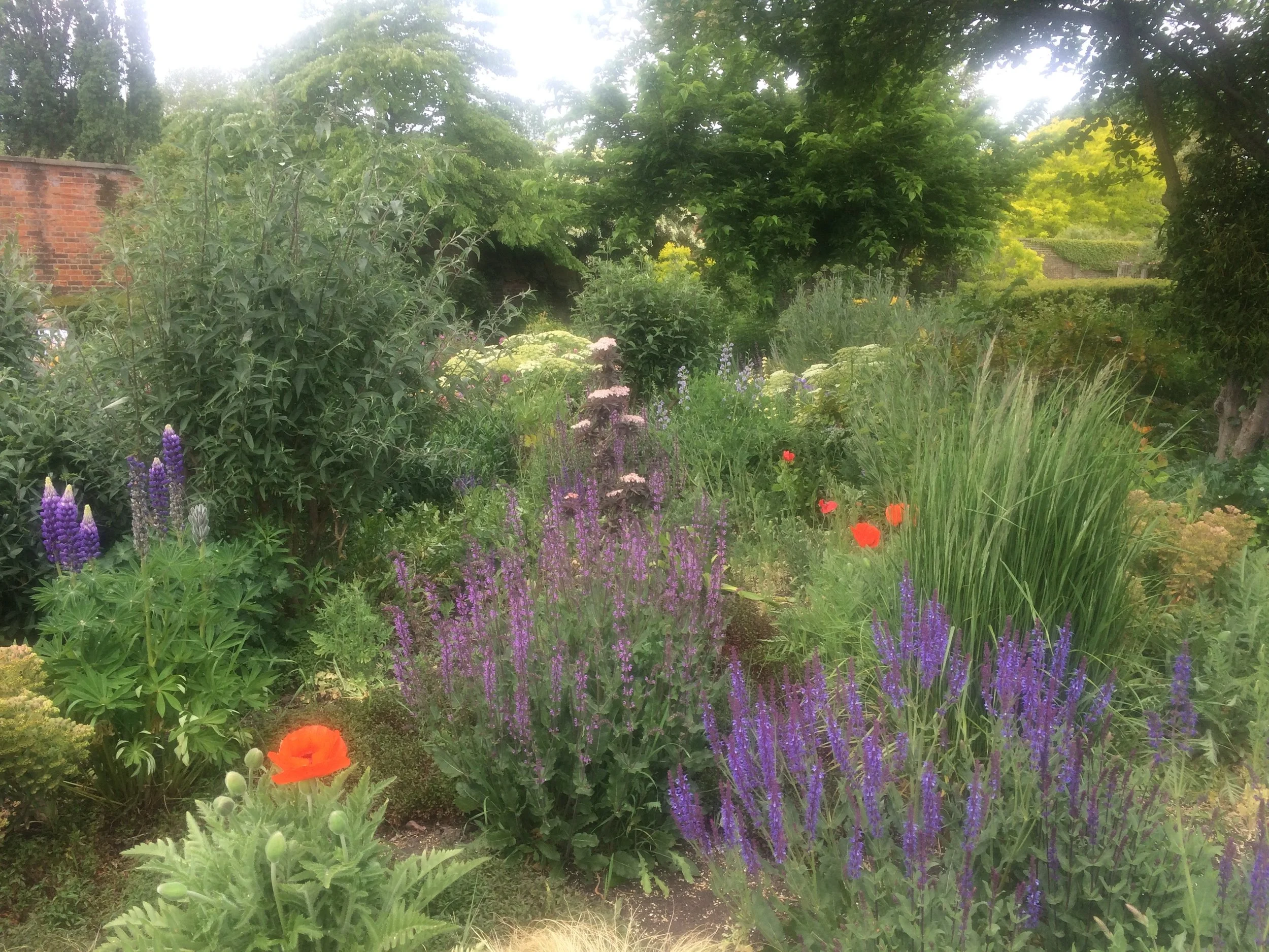 The Walled Garden, Brockwell Park
