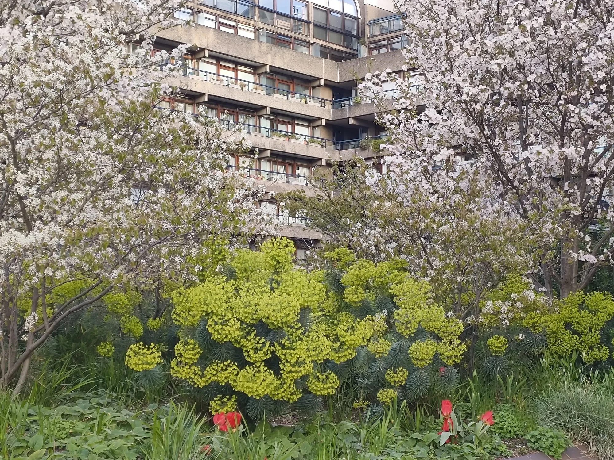 Barbican Gardens Walk